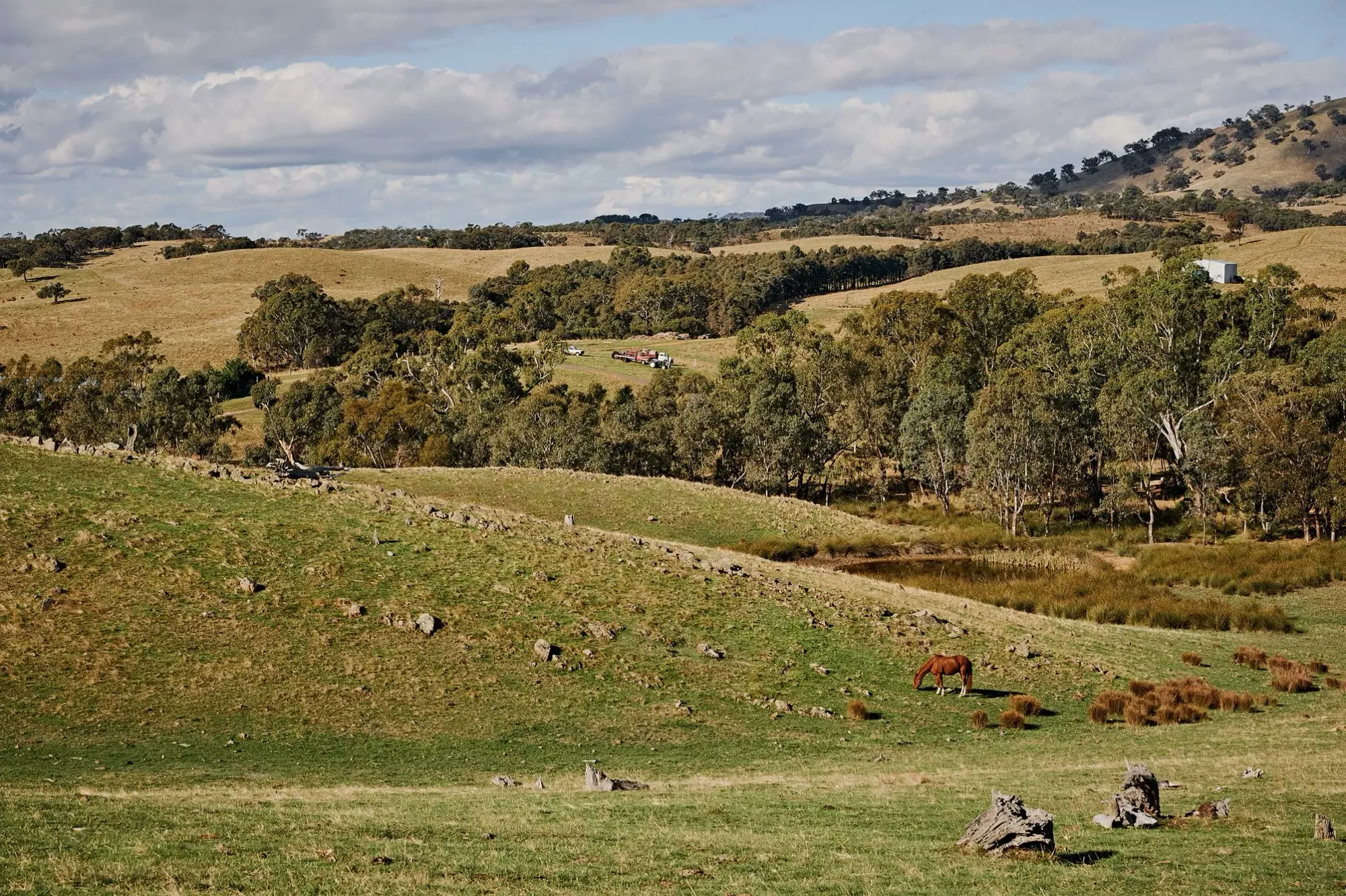 Heathcote by Wilka Eco Escapes. Photography by Dean Schmideg