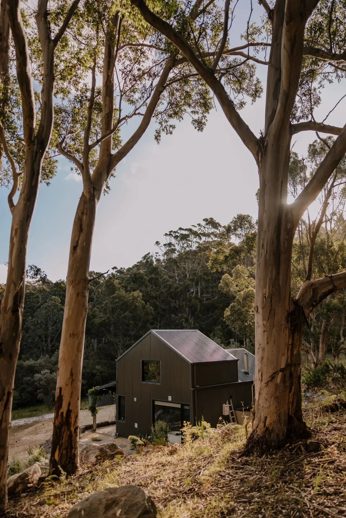 Stillwood Retreat by Studio Atelier. Photography by Rachel Claire, Jarrad Seng, Tristan McKenzie & Ridhwaan Moola