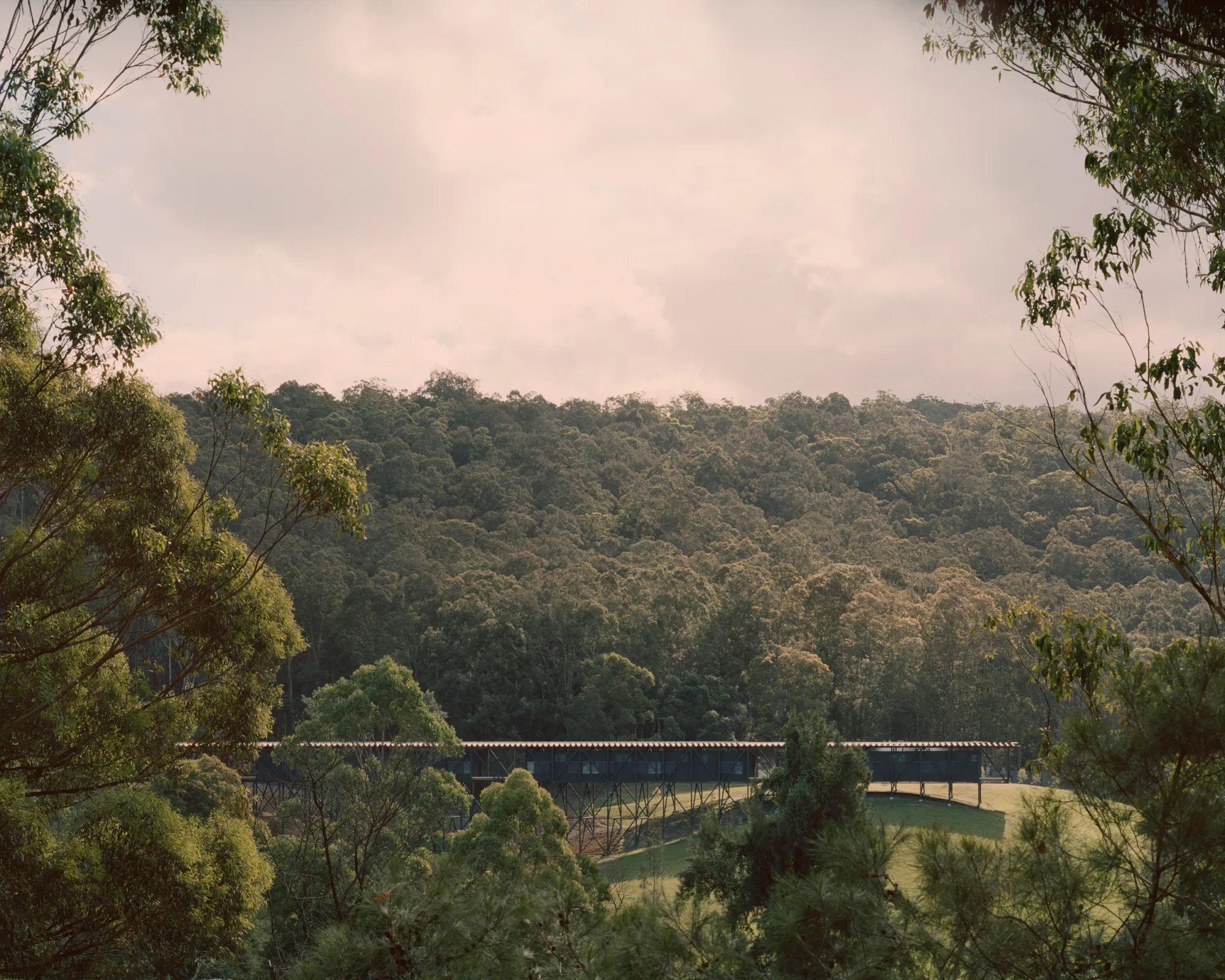 Bridge for Creative Learning at Bundanon located in the landscape