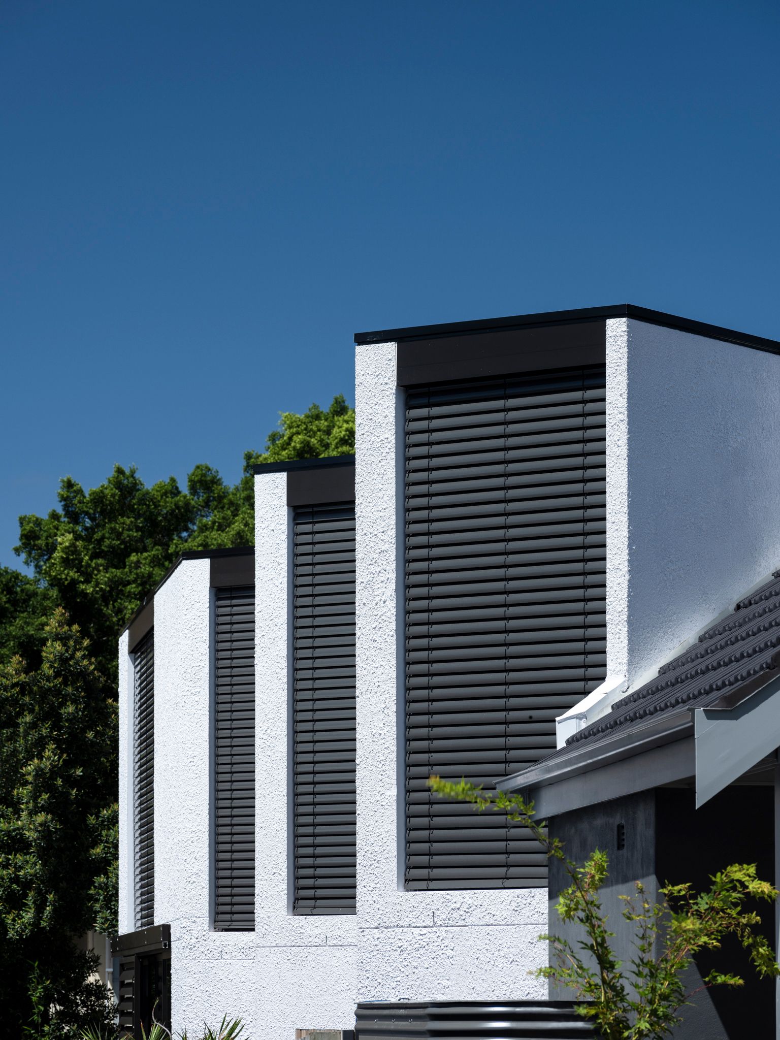 Bondi Beach House by Carla Middleton Architecture. Detailed view of 'Zig Zag ' extension