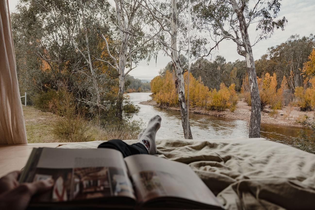 Cortes Cabin by Cortes Stays. View from cabin bed out to surrounding nature