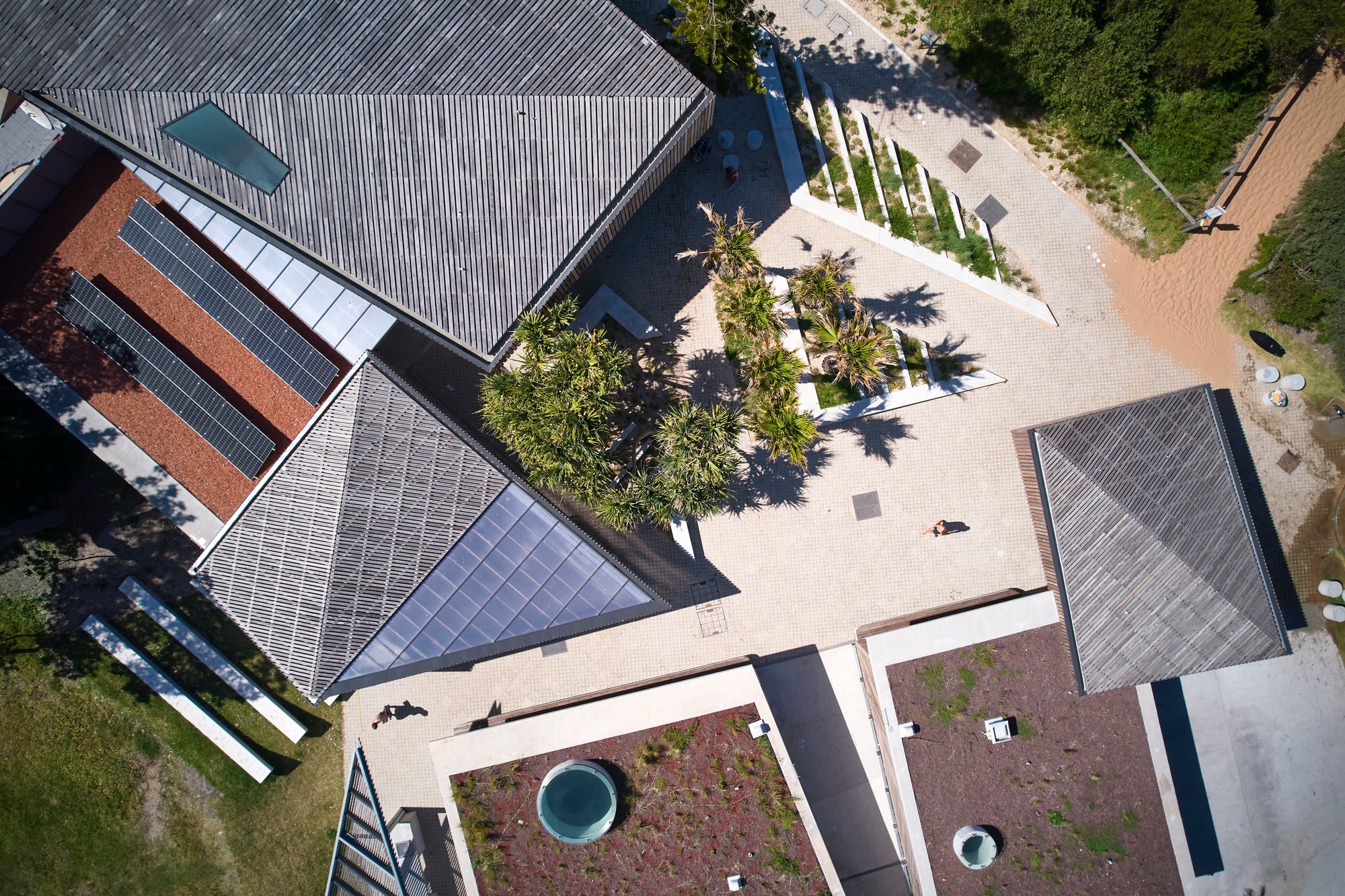 Long Reef SLSC by Adriano Pupilli Architects showing birds eye view