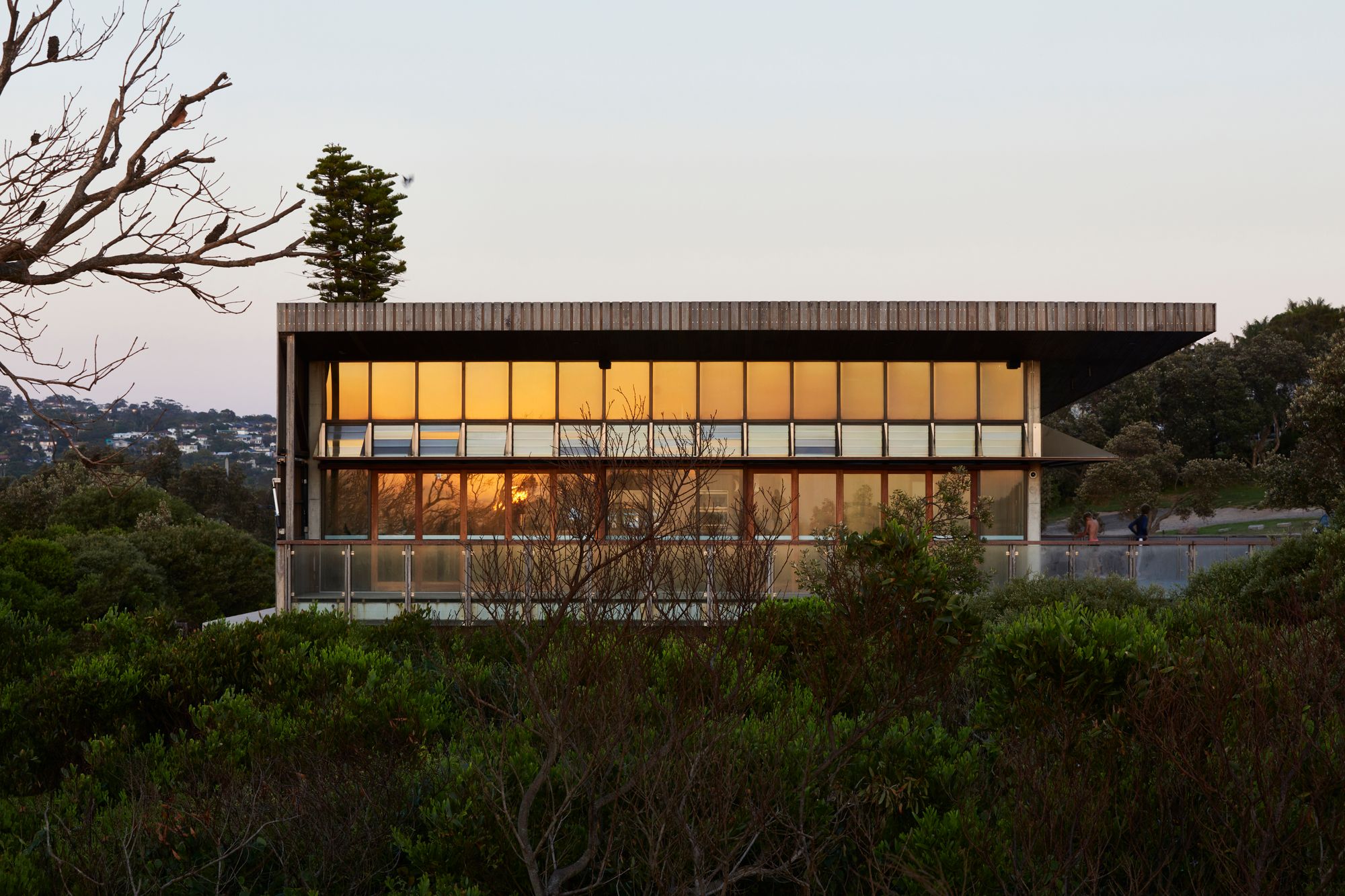 Long Reef SLSC by Adriano Pupilli Architects showing glass facade at sunrise