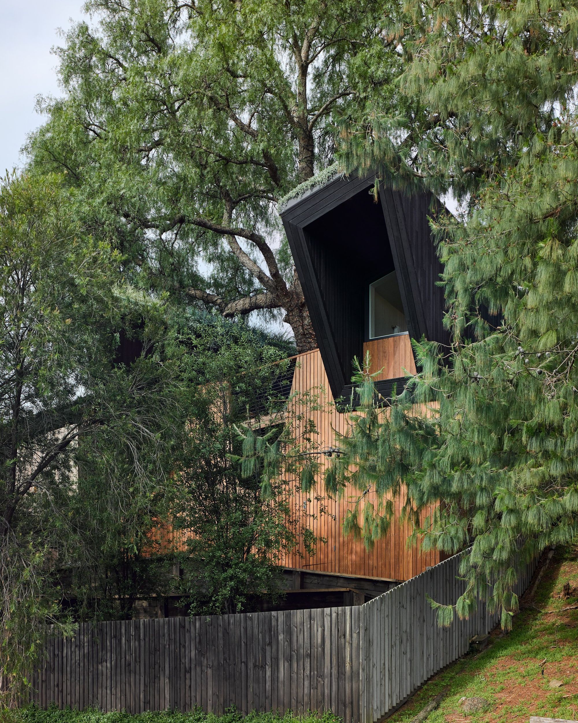 Pepper Tree Passive House by Alexander Symes Architect showing external timber facade of dark and light timber