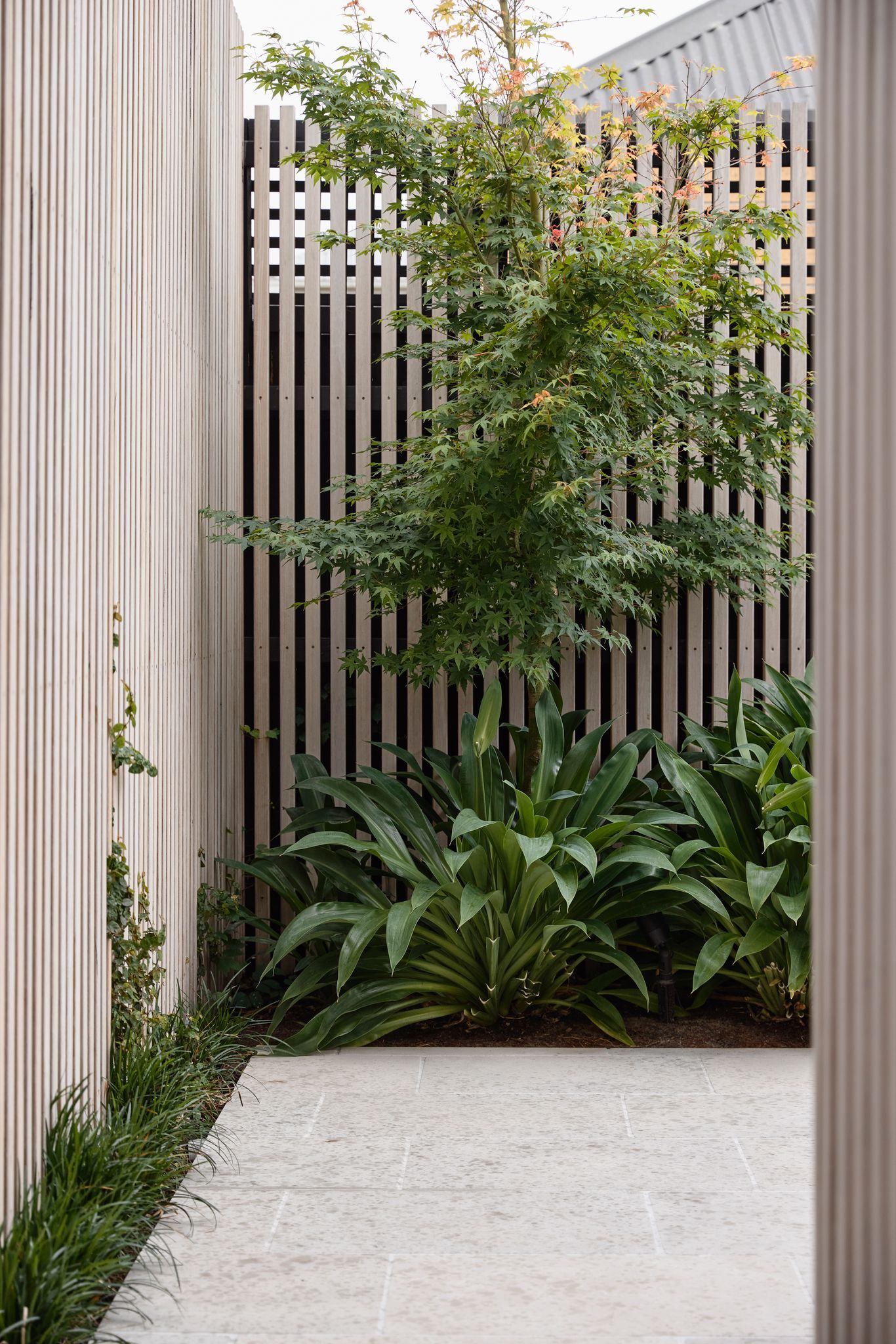 Silvertop House by Tom Robertson Architects. Outdoor courtyard. 