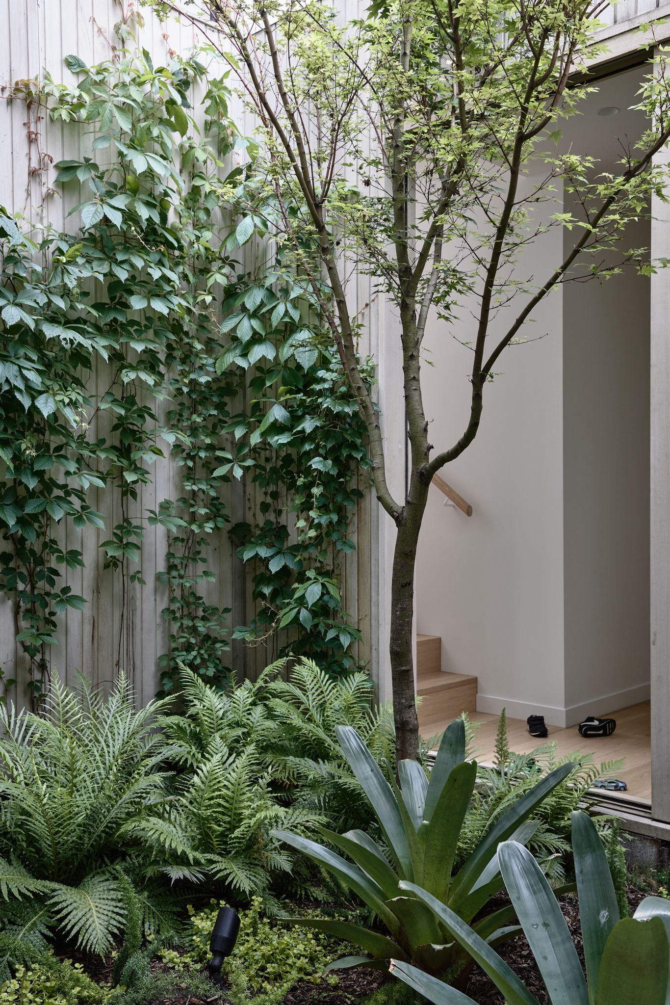 Silvertop House by Tom Robertson Architects. Internal courtyard central to the home