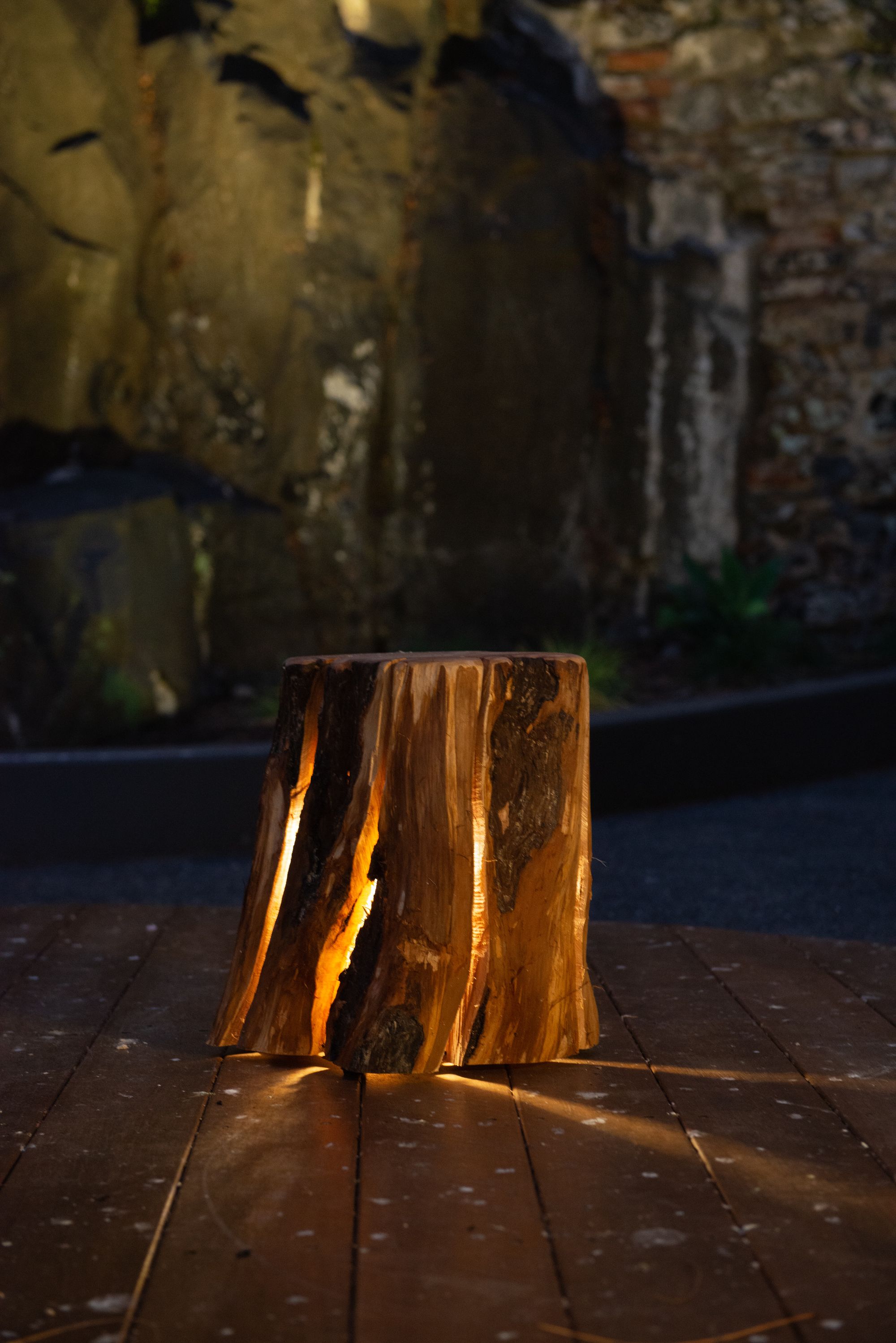 Duncan Meerding's Stump Light showing a moody shot with light coming through the cracks in the log