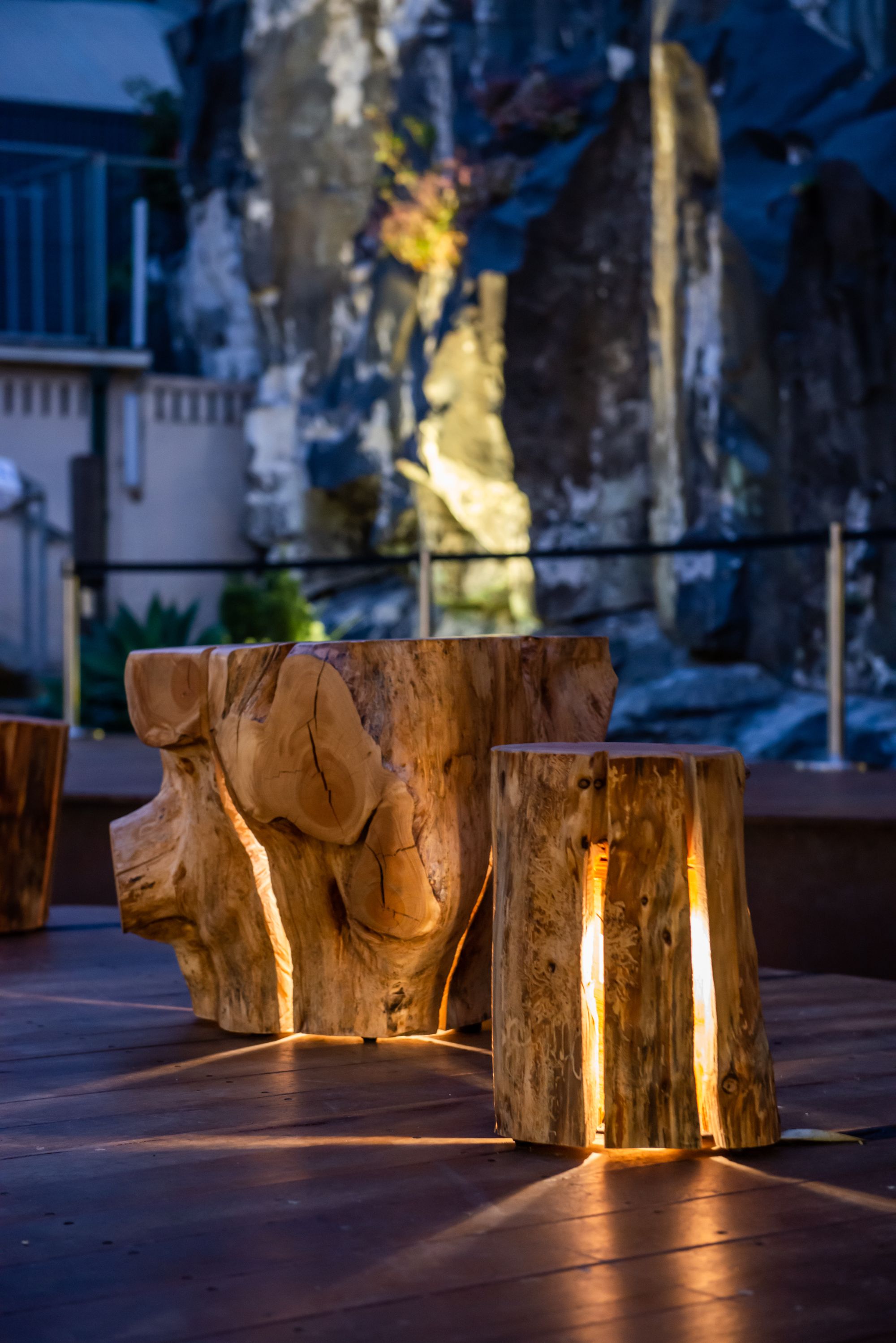 Duncan Meerding's Stump Lights showing varying sizes