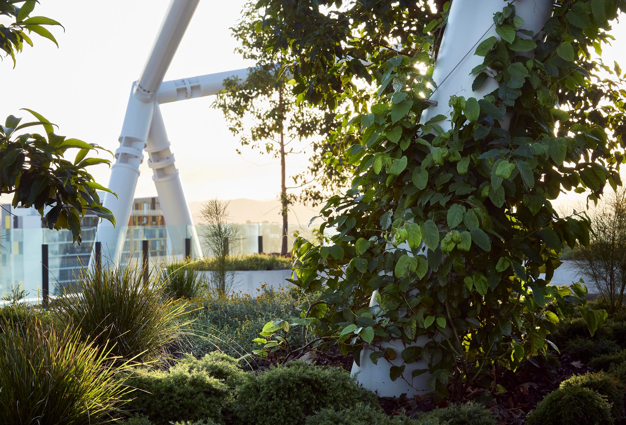 Jubilee Place and Hotel by WILDStudio showing lush landscape on the roof garden