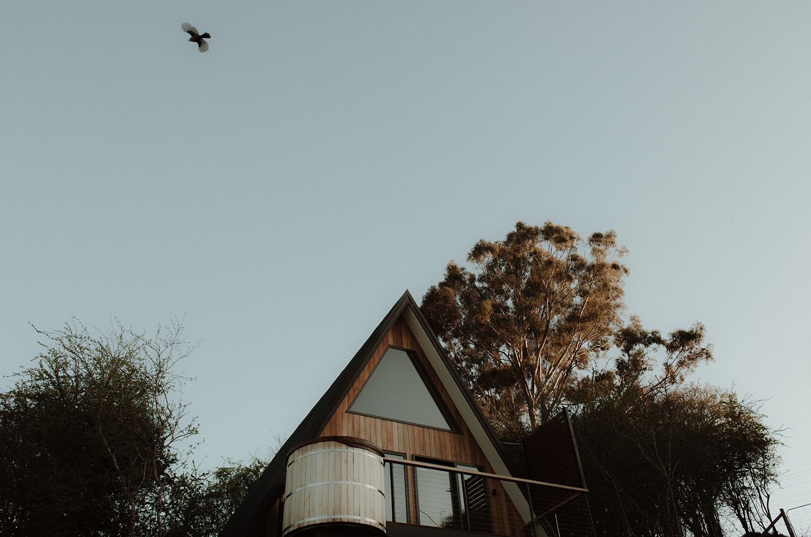 The Eco Cabin Tasmania by Wild Life Environmental. Ground floor view looking up at cabin