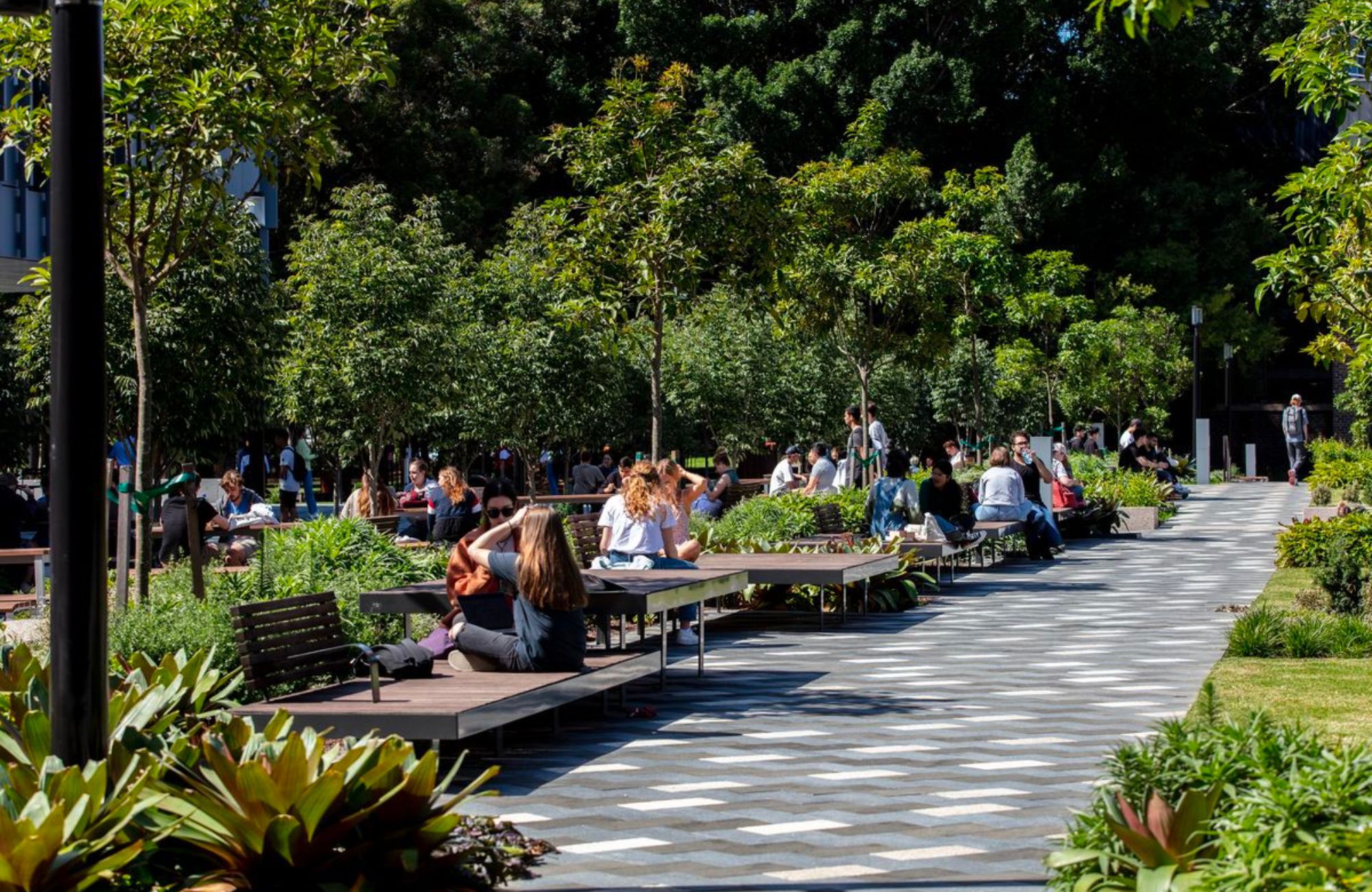 Macquarie University Central Courtyard Precinct by ASPECT Studios showing the public using the outdoor space