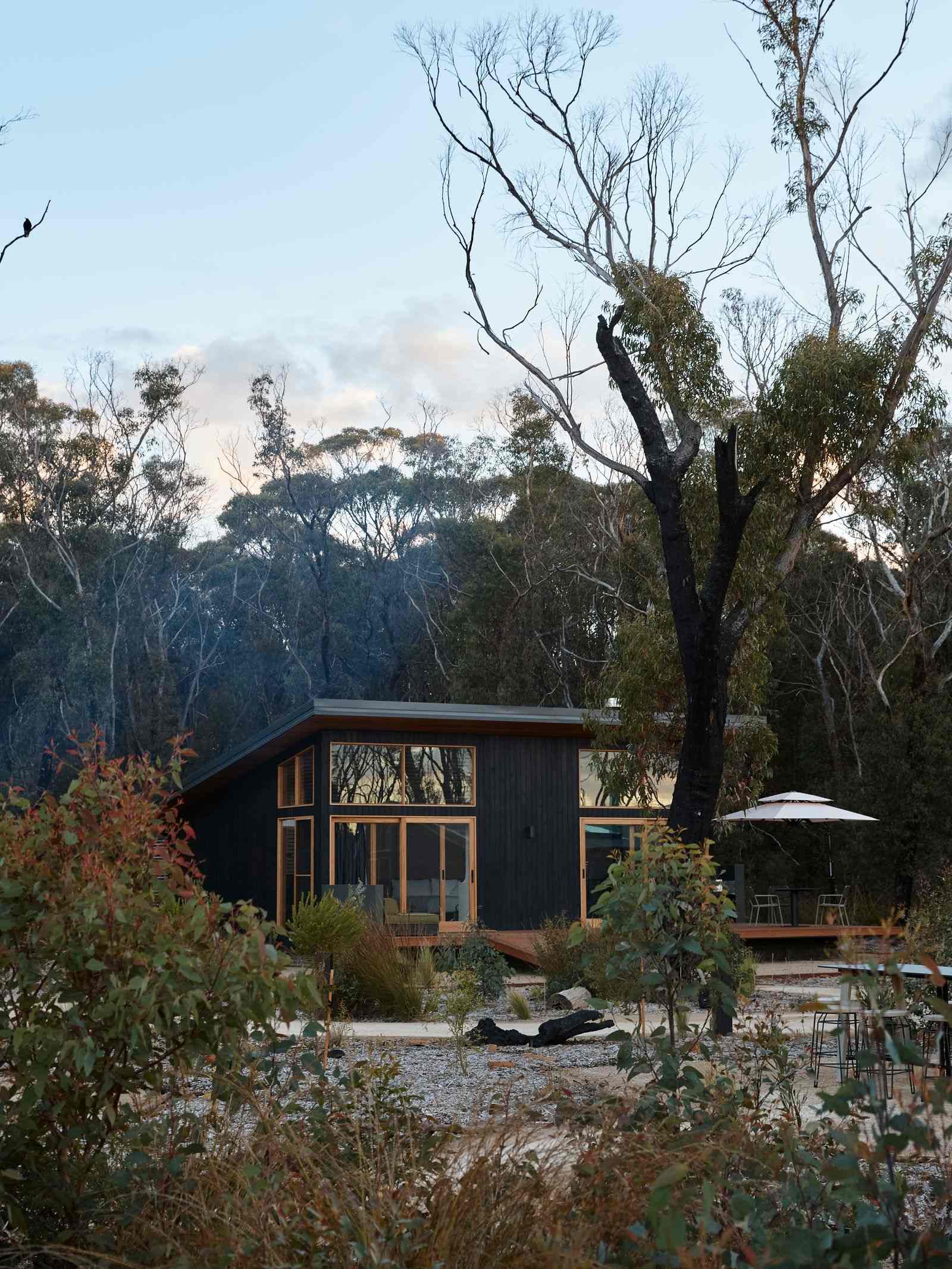 Chalets at Blackheath. View from the bush looking out to secluded cabin. 