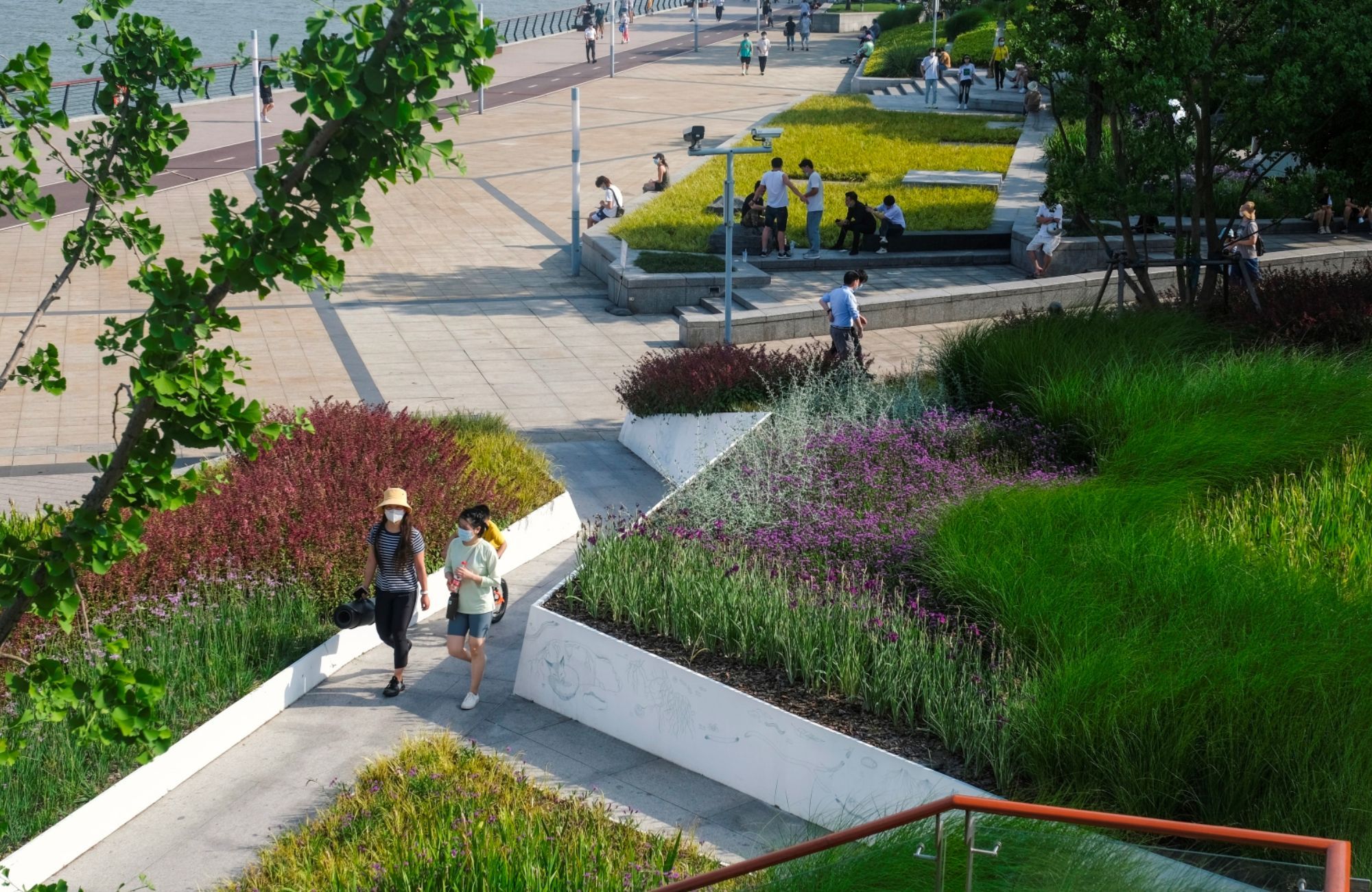 A HASSELL landscape project showing a landscaped public space by the water