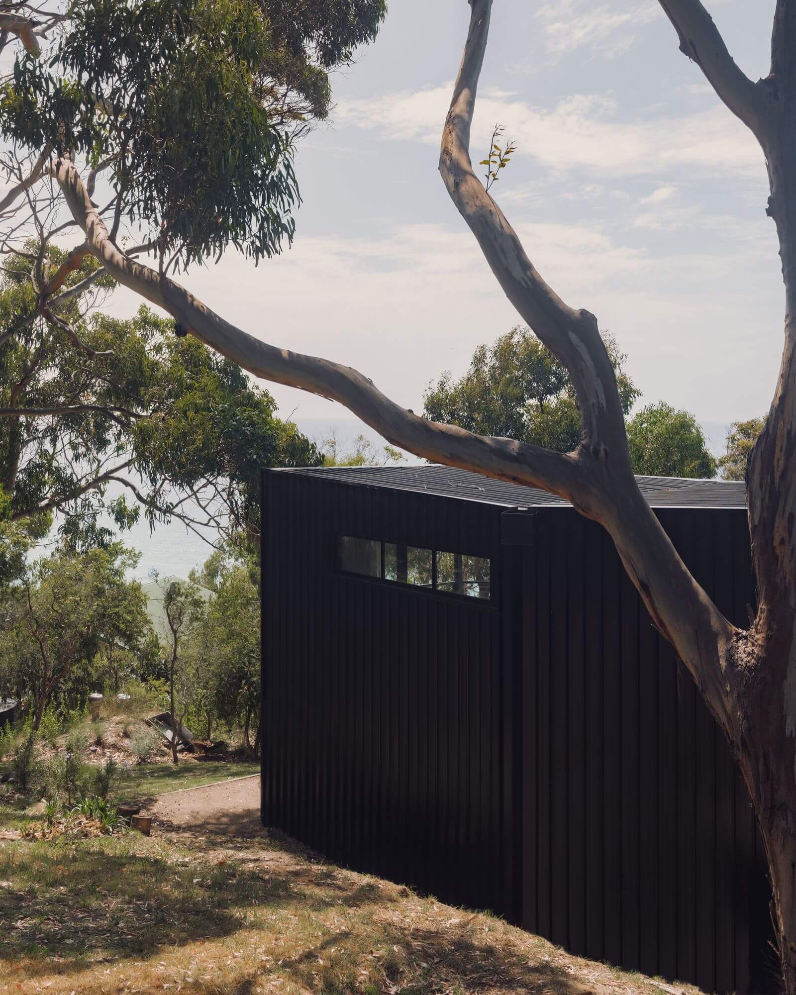 Kennett River House by MGAO showing metal clad elevation