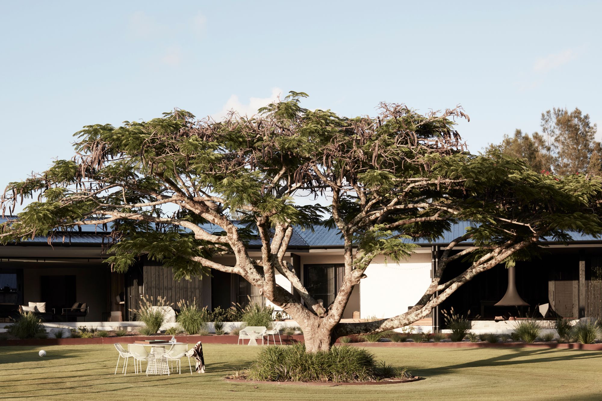 Micalo by Byron Beach Abodes showing large tree on the front lawn of the holiday home