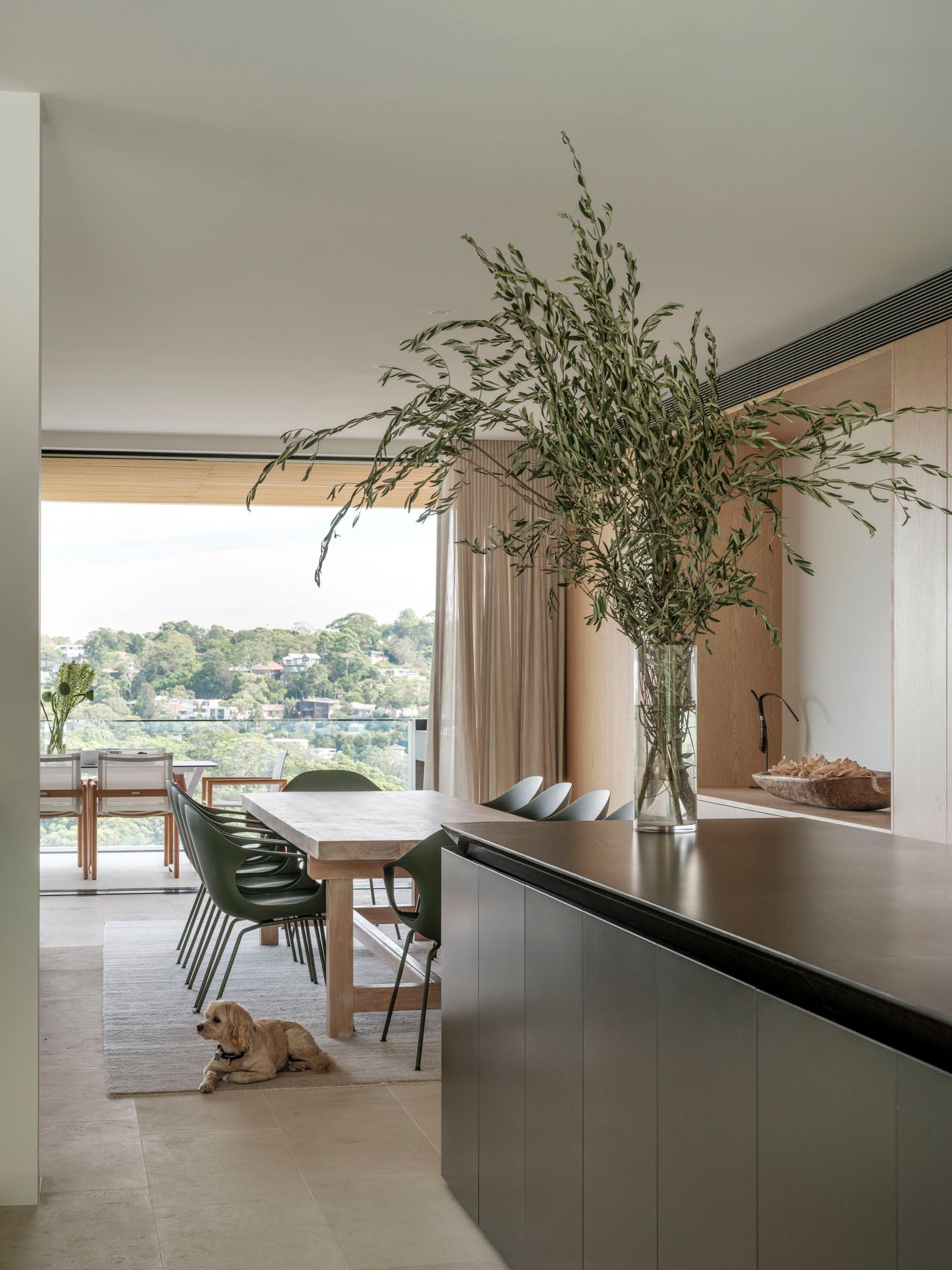 Northbridge by Corben Architects showing kitchen and dining interior spaces with puppy laying