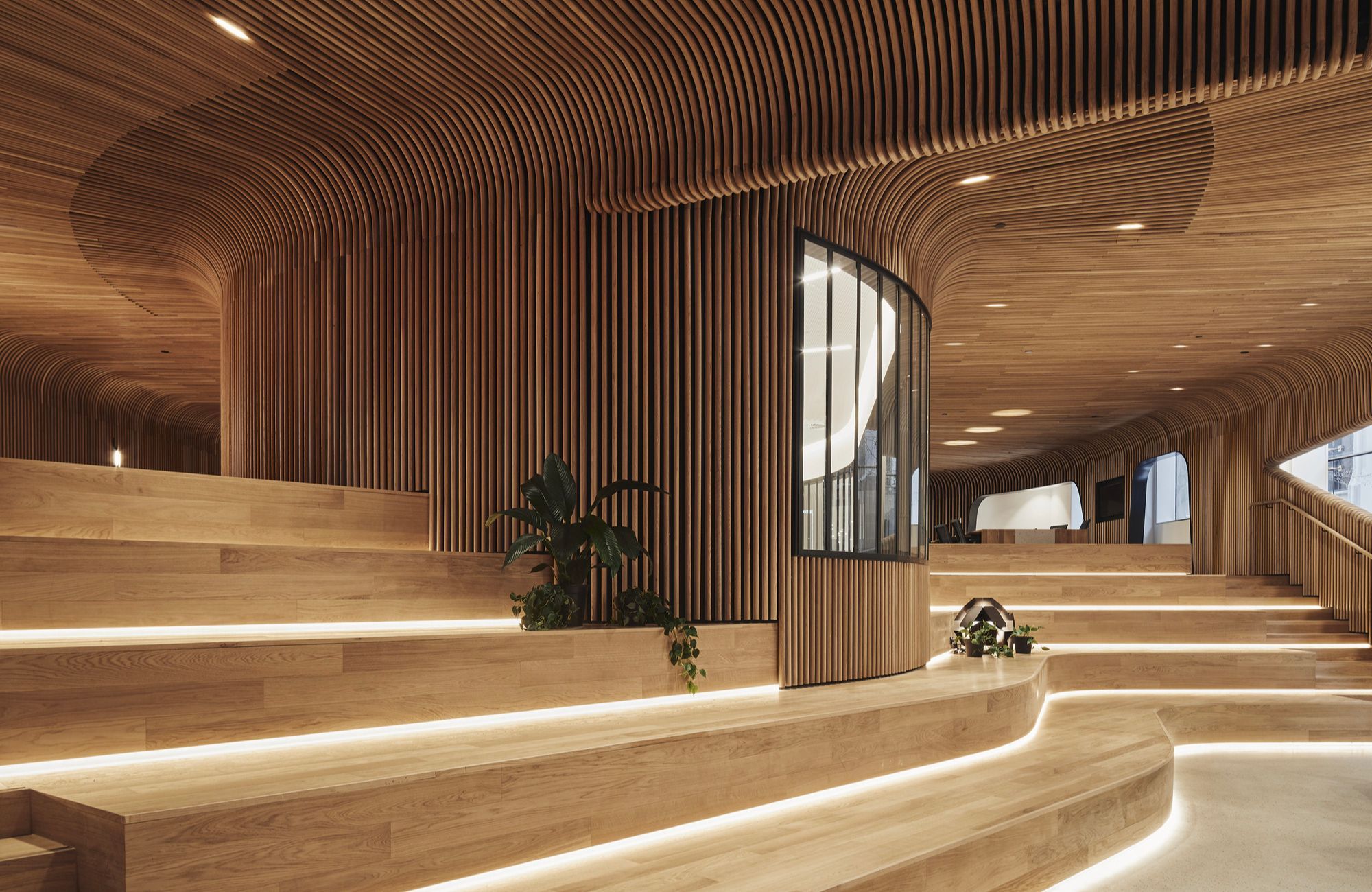Sculptform Design Studio by Woods Bagot showing timber interior and timber seated steps