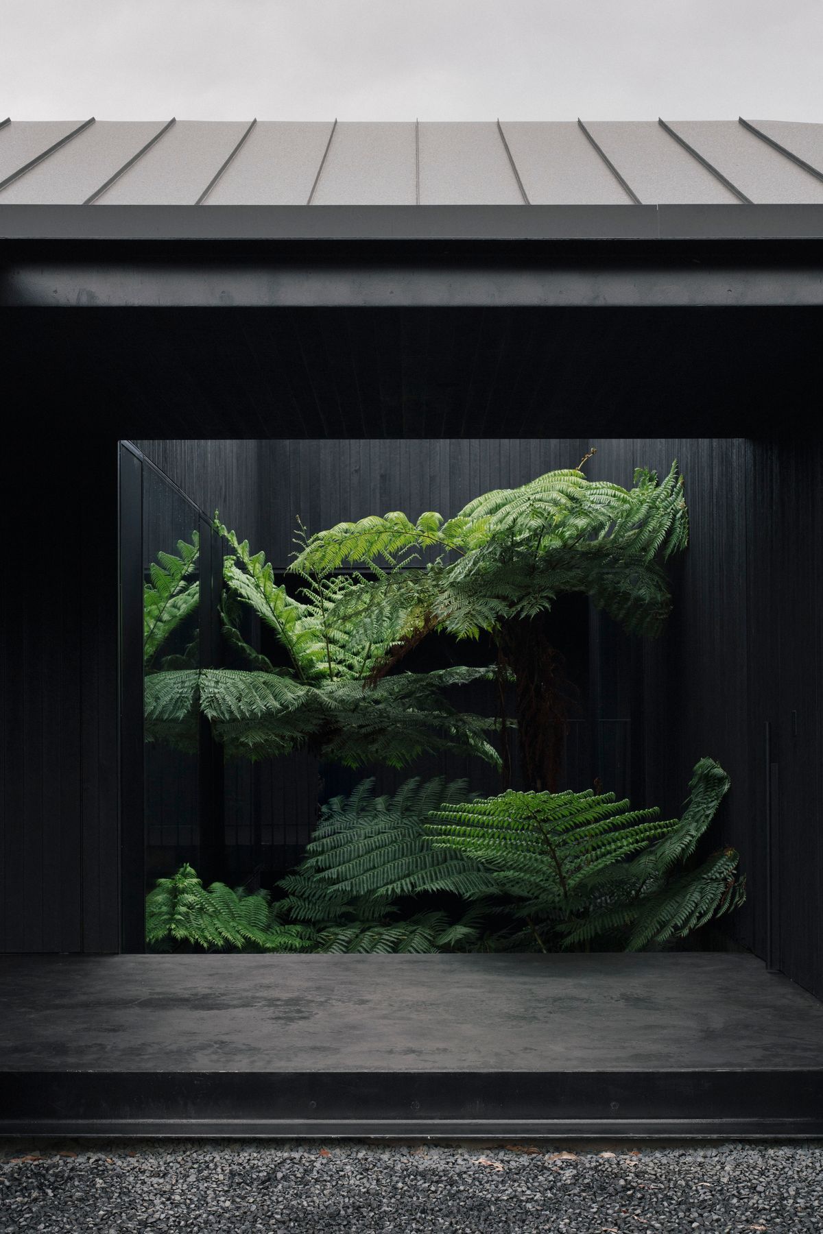 Federal House by Edition Office showing a fern courtyard