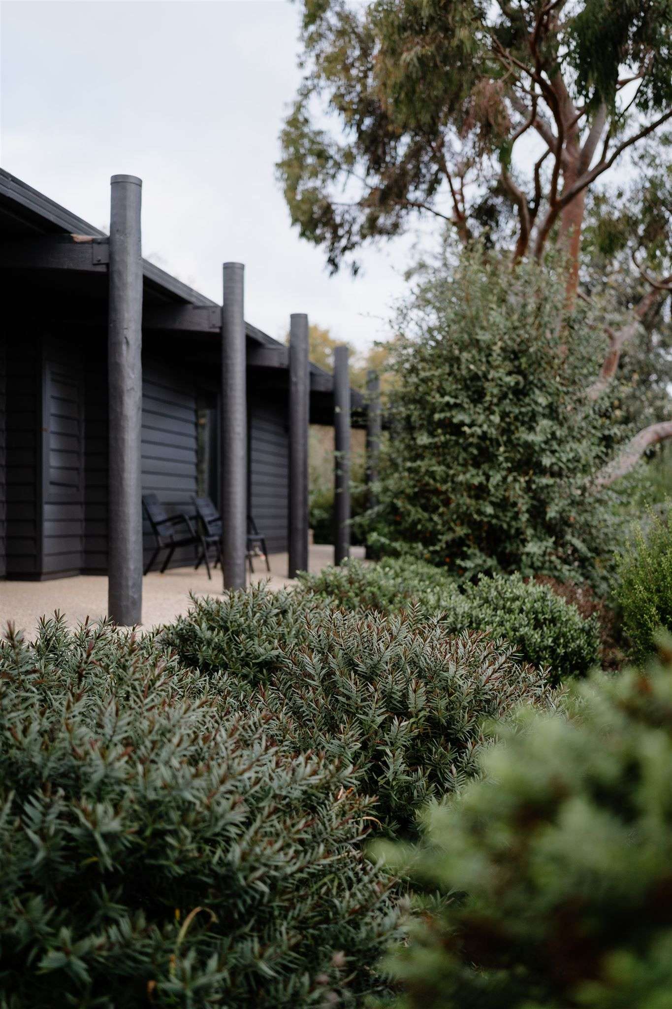 Jumoku Daylesford. Showing the exterior of the holiday house and the native Australian garden