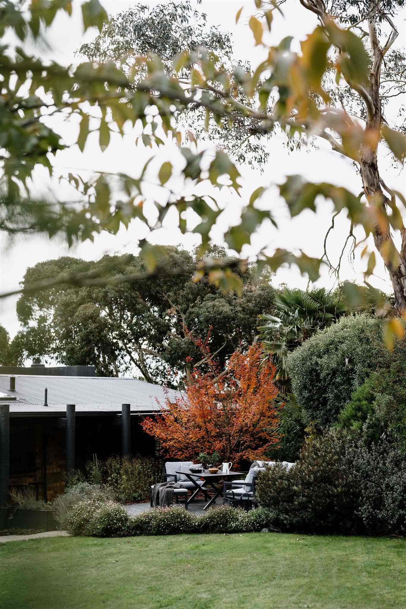 Jumoku Daylesford. Showing the outside seating area amongst the native Australian garden