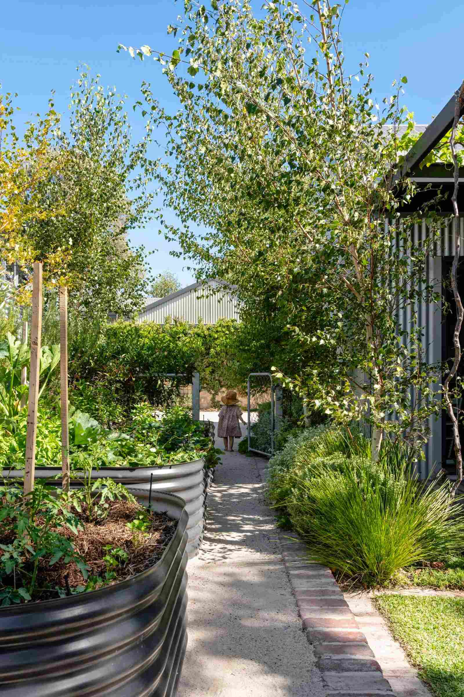 Valley House by See Design Studio showing garden design with vegetable gardens