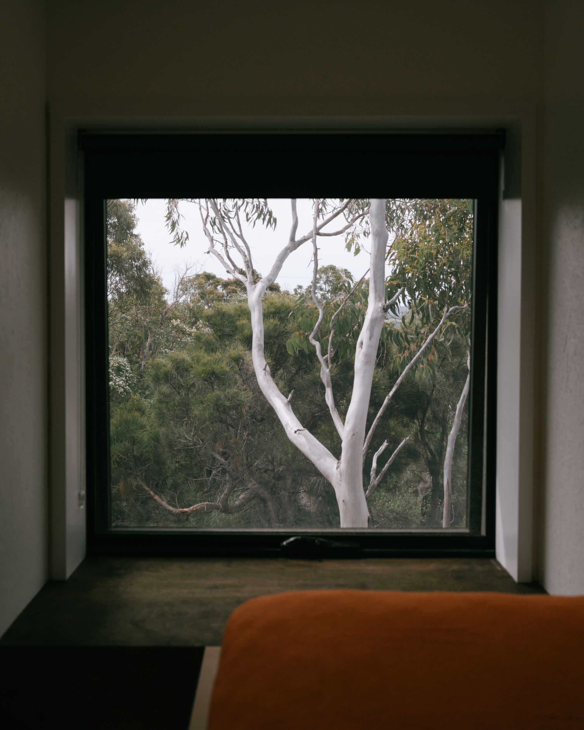 An interior view of the bedroom at DEN PLACE showing the picture window that captures the surrounding environment of Australian bush