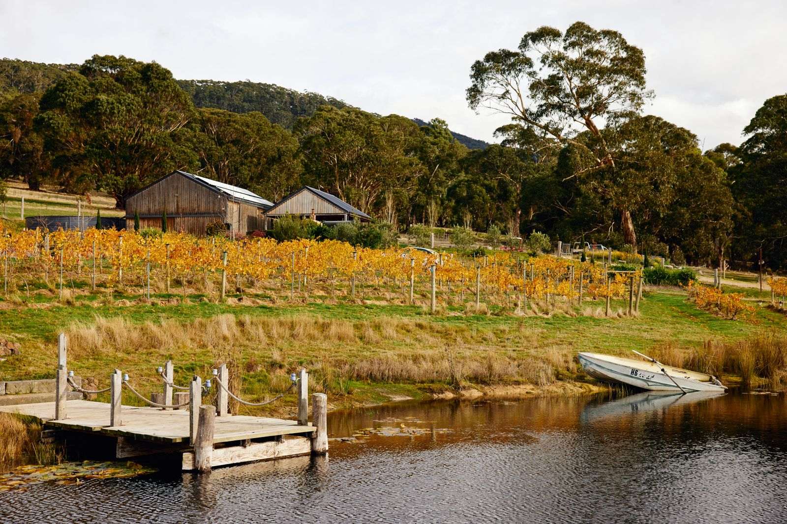 A pulled back exterior shot showing The Glut Farm surrounded by vineyards and with a dam in the foreground