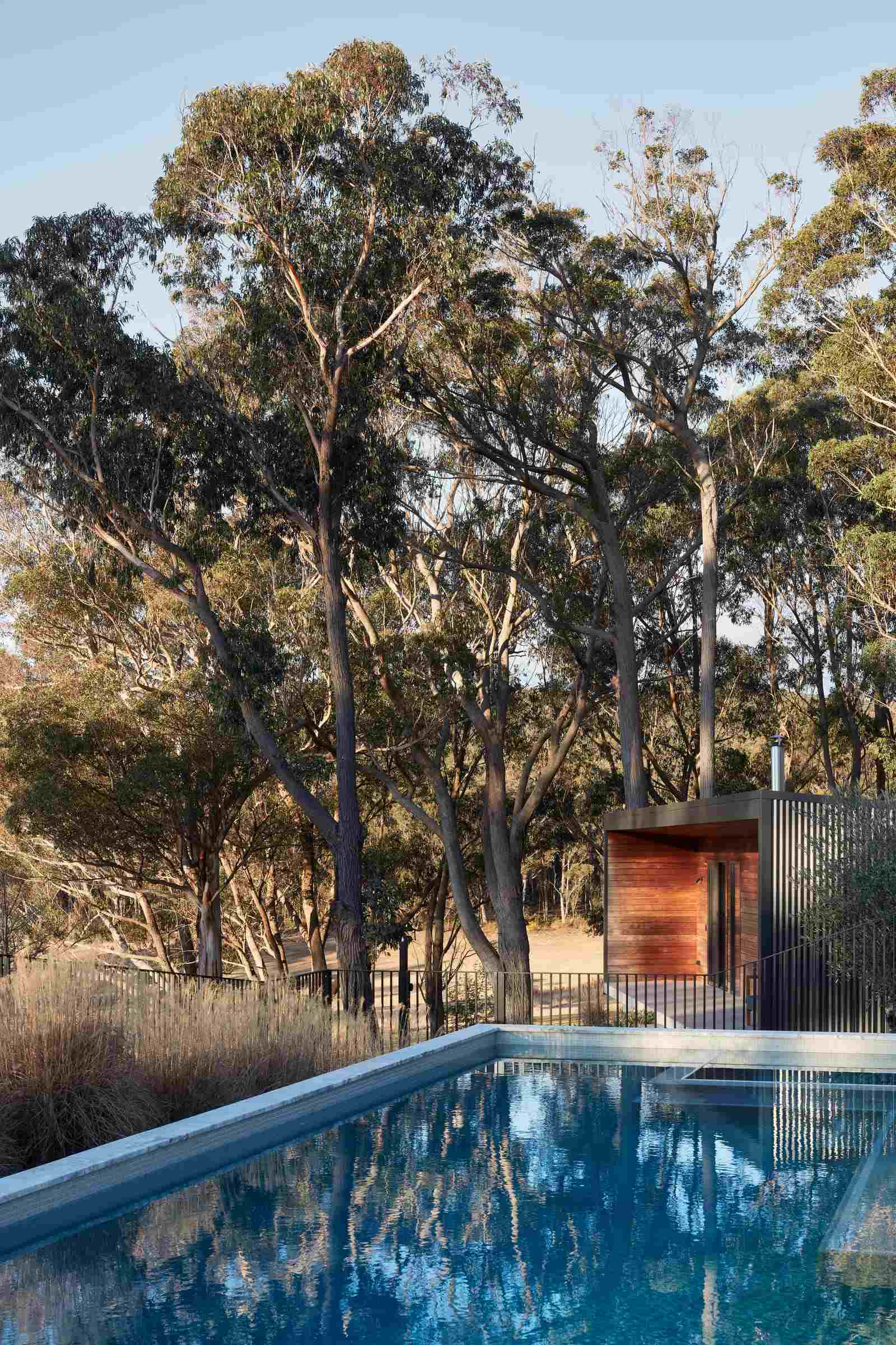 House Woodland by AO Design Studio. This is an outdoor perspective of House Woodland by AD Design Studio showcasing a sleek swimming pool. The pool area is surrounded by a wooden deck and flanked by native trees, with a modern pool house in the background featuring wood paneling and black metal accents.