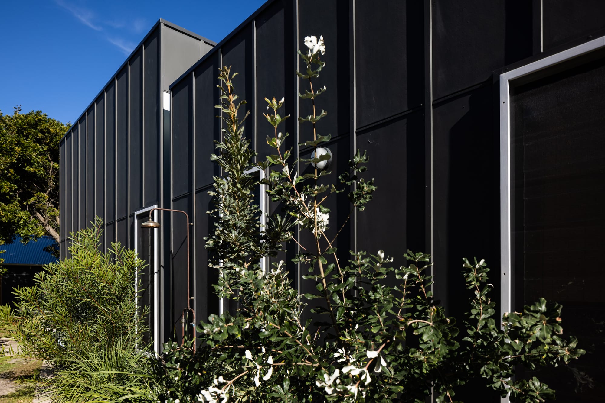 Drip-Dry House by Marker Architect. Exterior shot of black timber clad residential building in minimal, contemporary style. Native Australian plants grow in front of the facade. Rustic outdoor shower can be seen leaning against the exterior walls. 