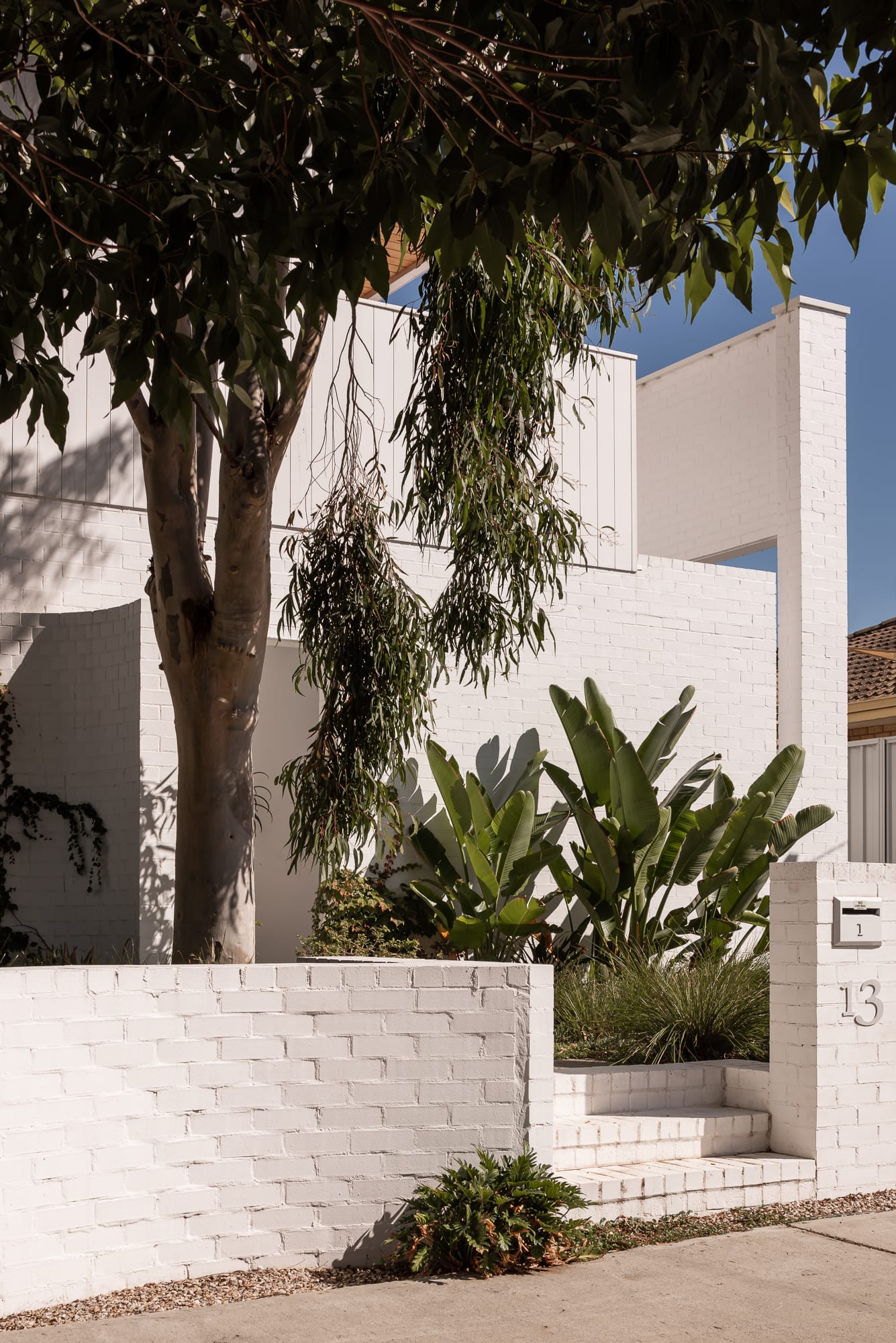 Carrington Street Terraces by MDC Architects. This is an exterior shot of a modern house, featuring clean, white painted brick walls. A tree with a thick trunk and green foliage partially obscures the view. There's a variety of lush greenery, including large broad-leafed plants, adding a touch of nature to the urban setting.