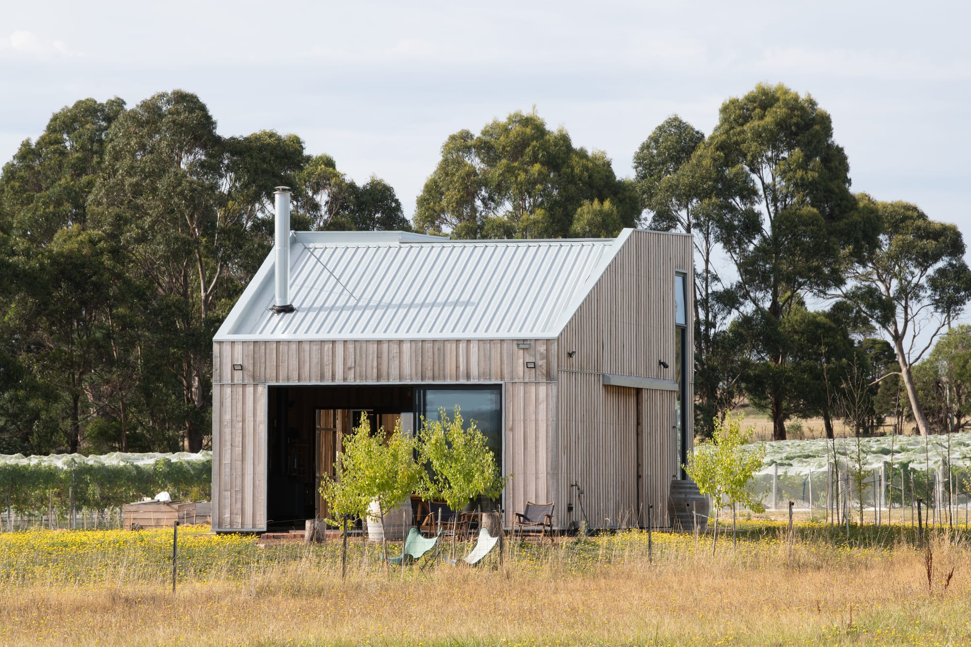 Tasmanian Timber Series: Westella Vineyard. winery building at Westella Vineyard set against a backdrop of Tasmanian countryside, featuring a gabled, corrugated metal roof and weathered timber walls amidst rows of grapevines.