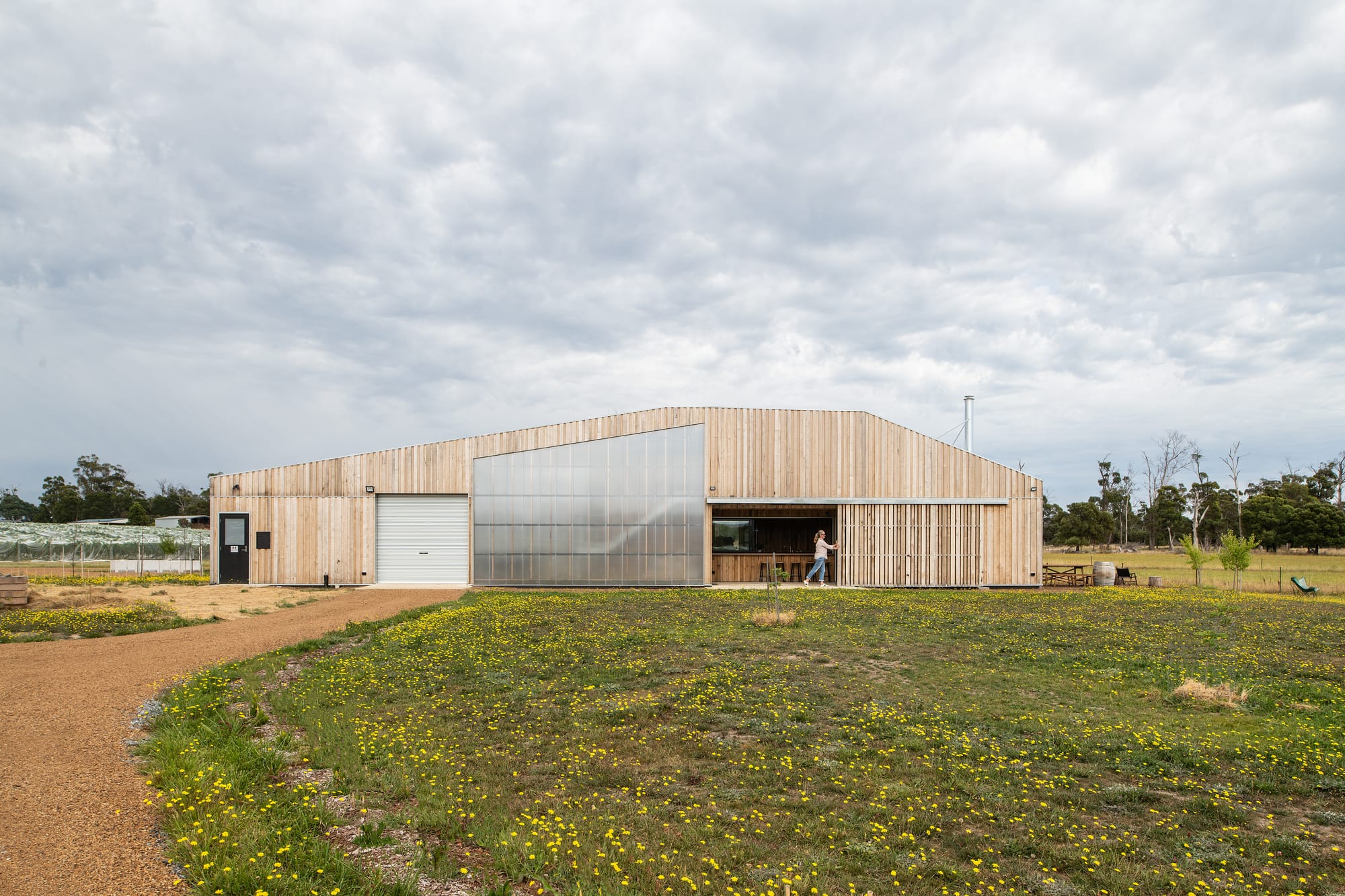 Tasmanian Timber Series: Westella Vineyard.Frontal view of the winery's modern design with curved roof architecture, large sliding doors, and a welcoming open space leading into the tasting room, surrounded by a natural landscape dotted with wildflowers.