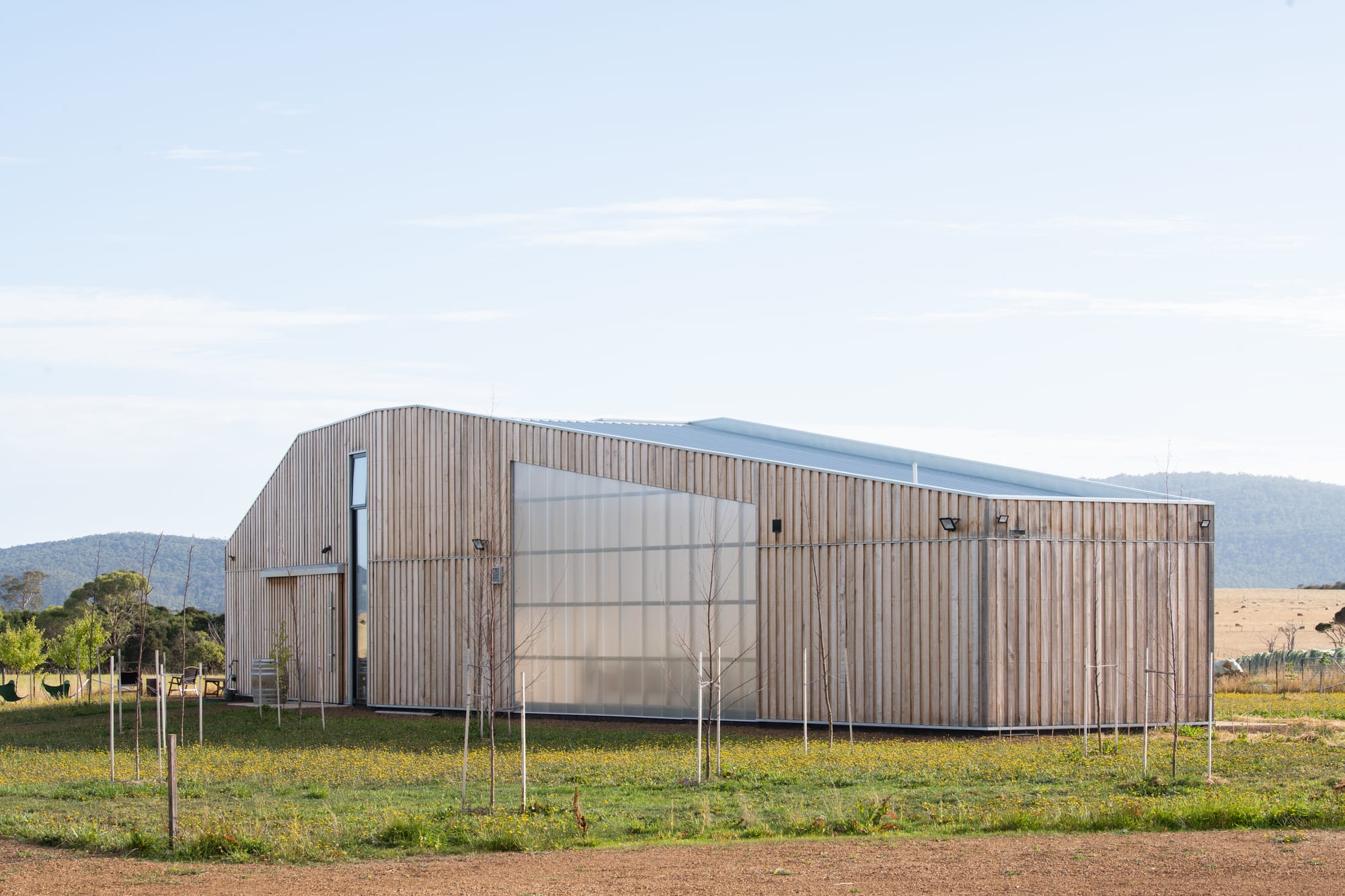 Tasmanian Timber Series: Westella Vineyard.A contemporary winery building at Westella Vineyard with a curved corrugated metal roof and vertical timber siding, standing in a pastoral setting with a mountain backdrop.