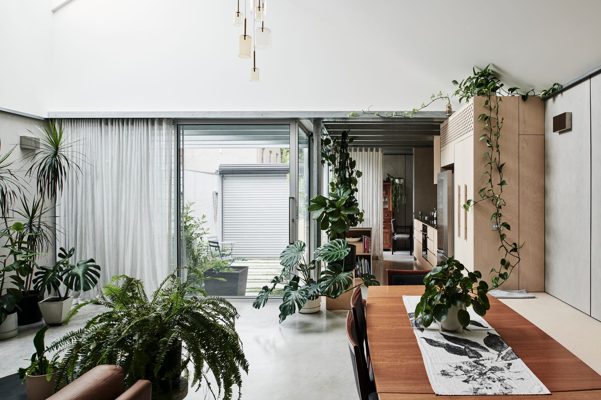 That Old Chestnut by FIGR. Architecture & Design. Photography by Tom Blachford. Residential living space and galley kitchen in industrial style. Concrete floors, walls and white, pitched ceiling. Doors in background open onto industrial courtyard. Lots of plants in space. 