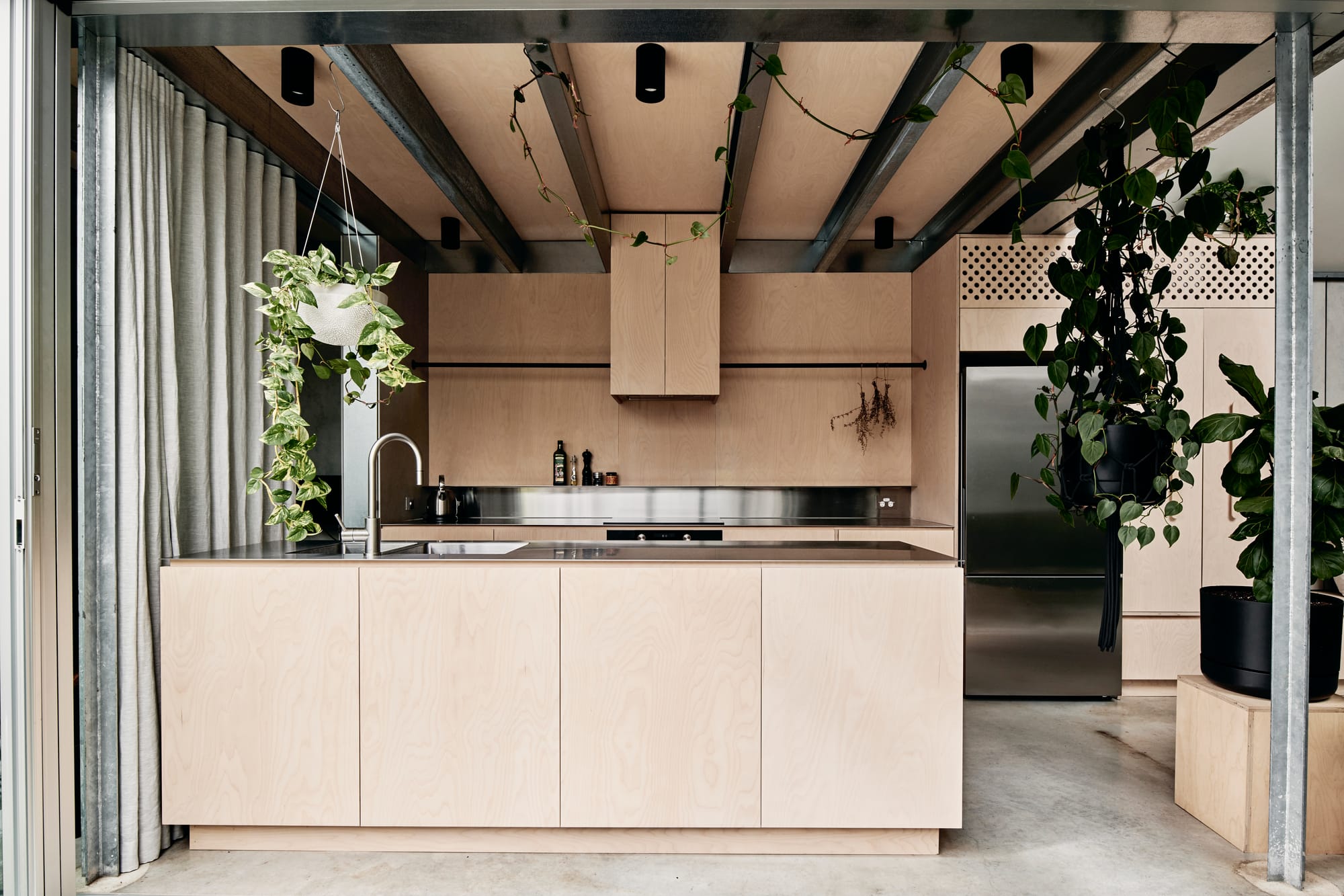 That Old Chestnut by FIGR. Architecture & Design. Photography by Tom Blachford. Landscape image of industrial kitchen with plywood cabinetry, concrete floors and exposed steel beams. Lots of hanging plants. 