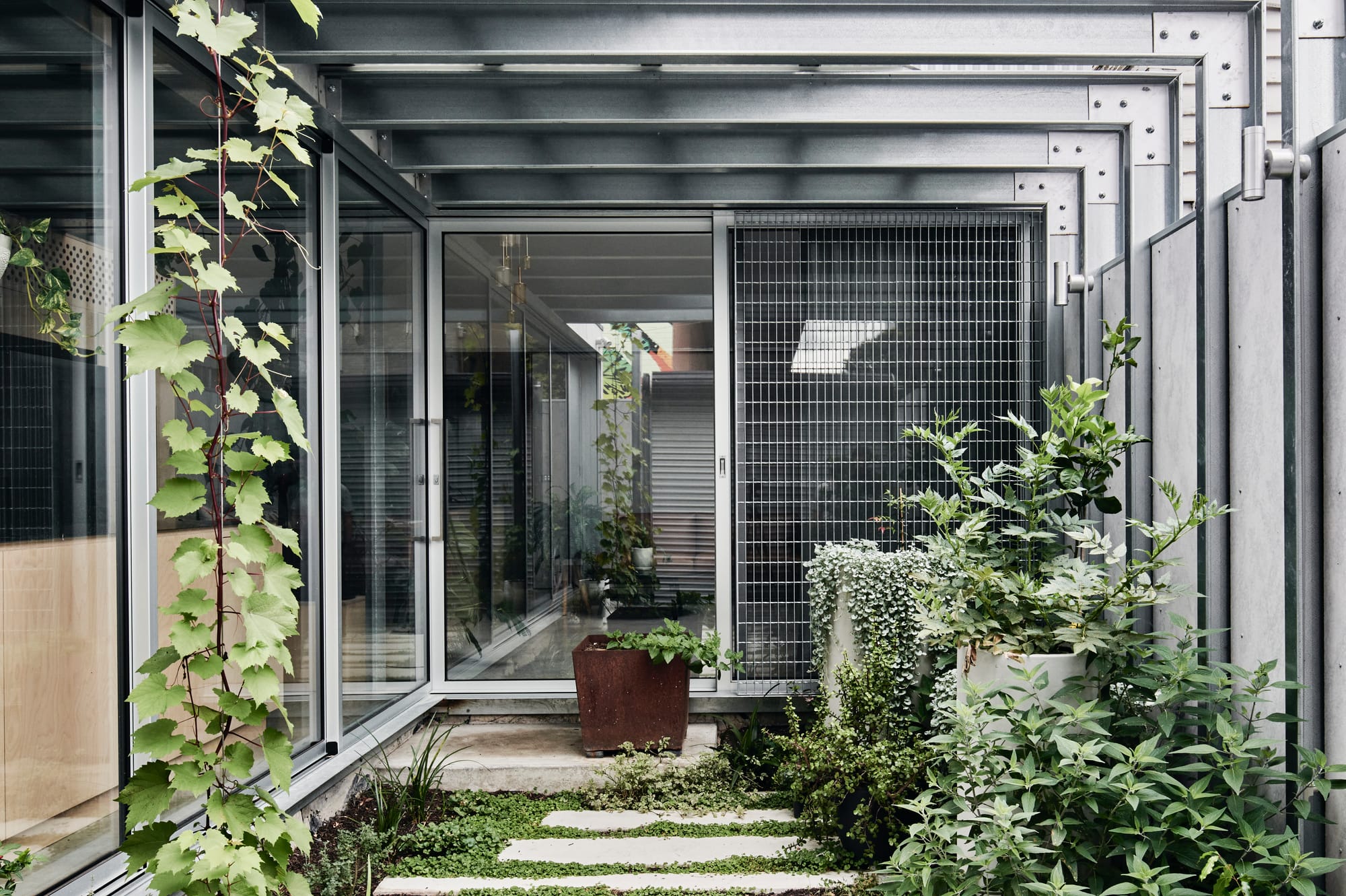 That Old Chestnut by FIGR. Architecture & Design. Photography by Tom Blachford. Exterior courtyard in industrial style. Steel framed windows and ceiling. Lots of plant life growing wildly. 