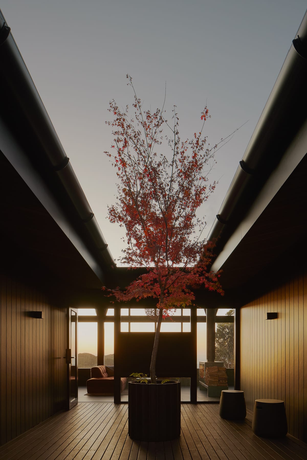 Cloudview Springbrook by Paul Uhlmann Architects. Photography by Brock Beazley. Enclosed, external deck at sunset. Large potted tree in centre of decking. Timber paneled walls. Windows in background look into interior living space.