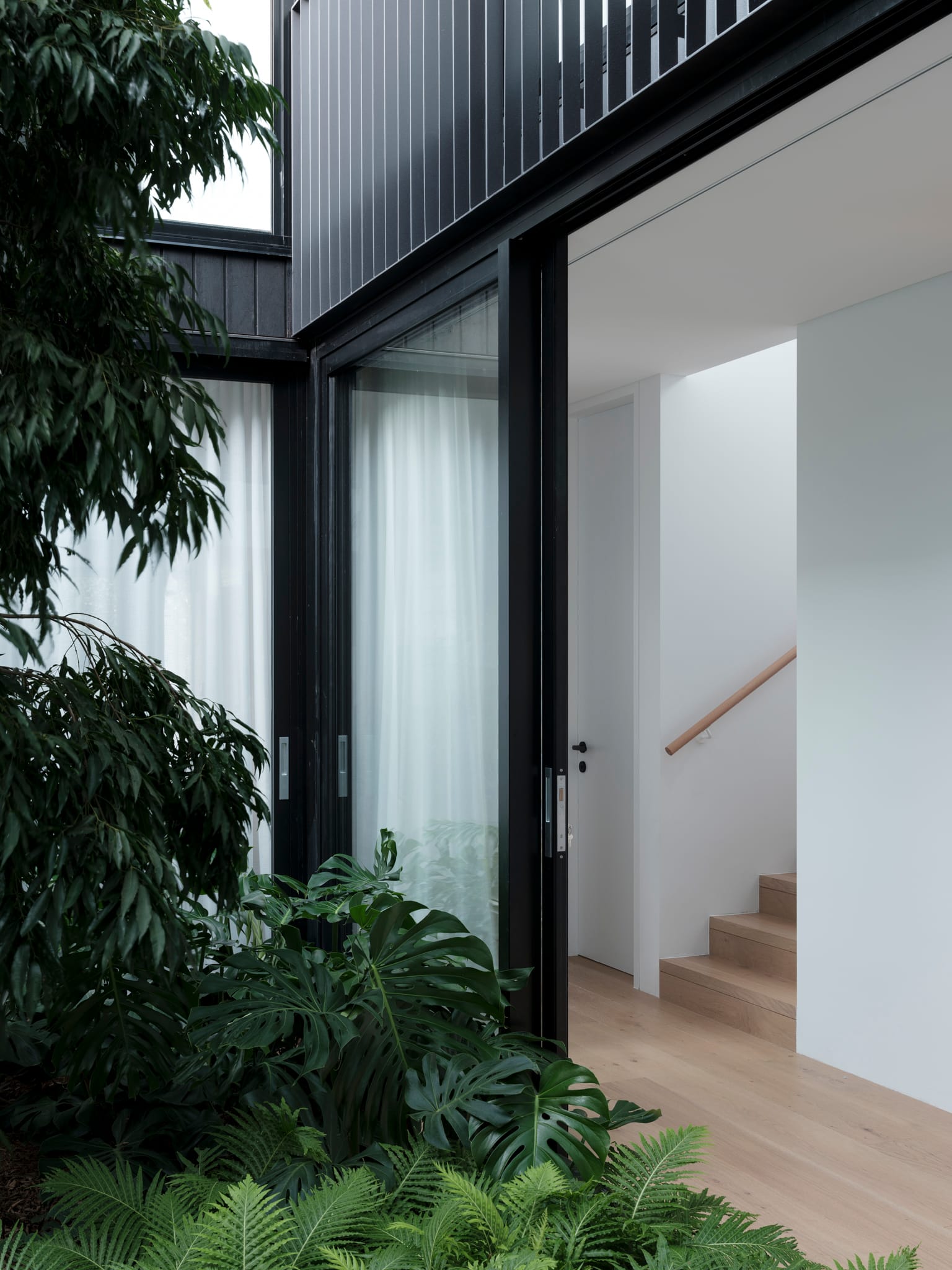 Bellevue House by Carla Middleton Architects. Photography by Tom Ferguson. Black metal framed sliding doors opening from hallway onto lush, interior courtyard. Timber floors and white walls inside. 