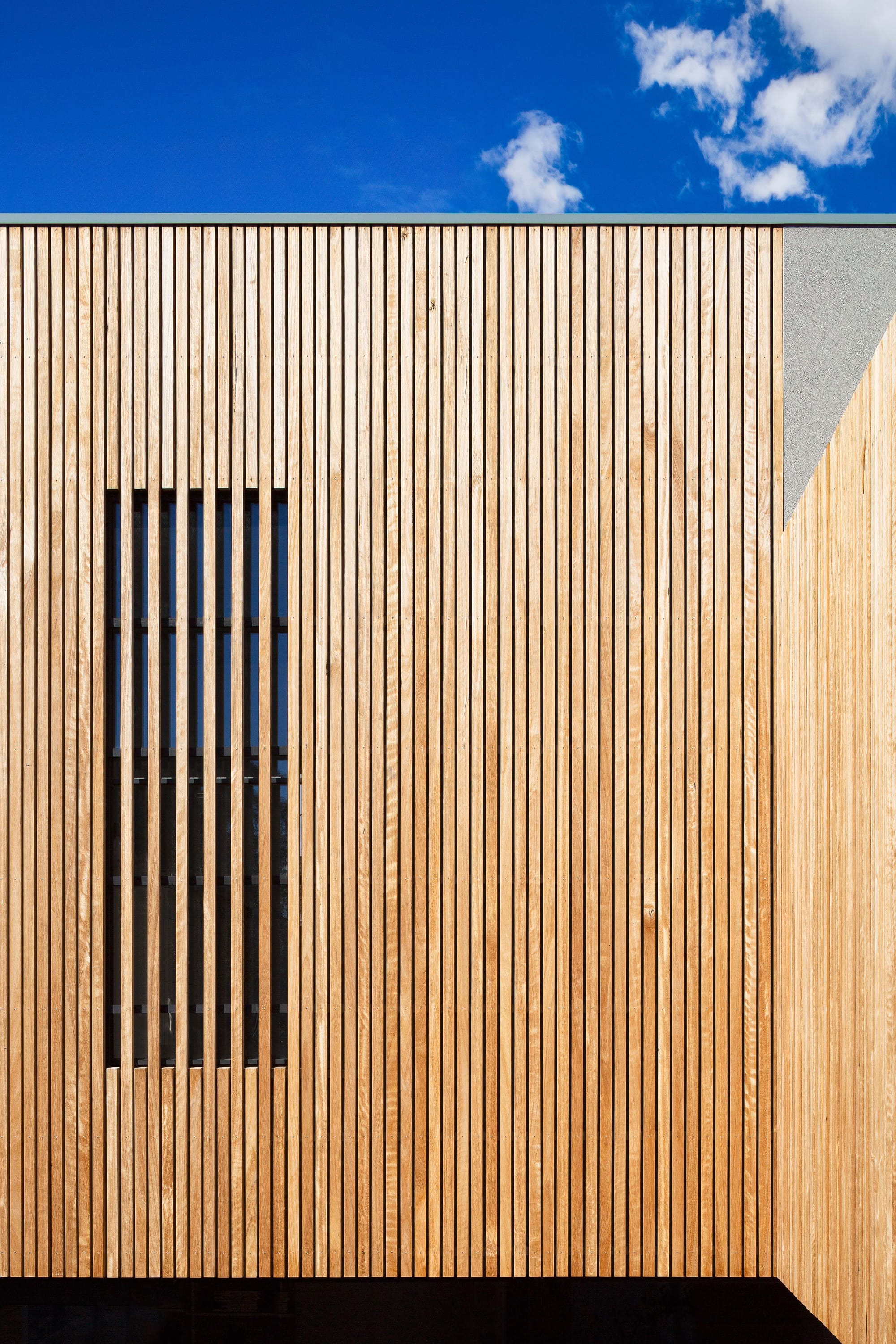 A detail shot of the external timber cladding of this house renovation in Cremorne