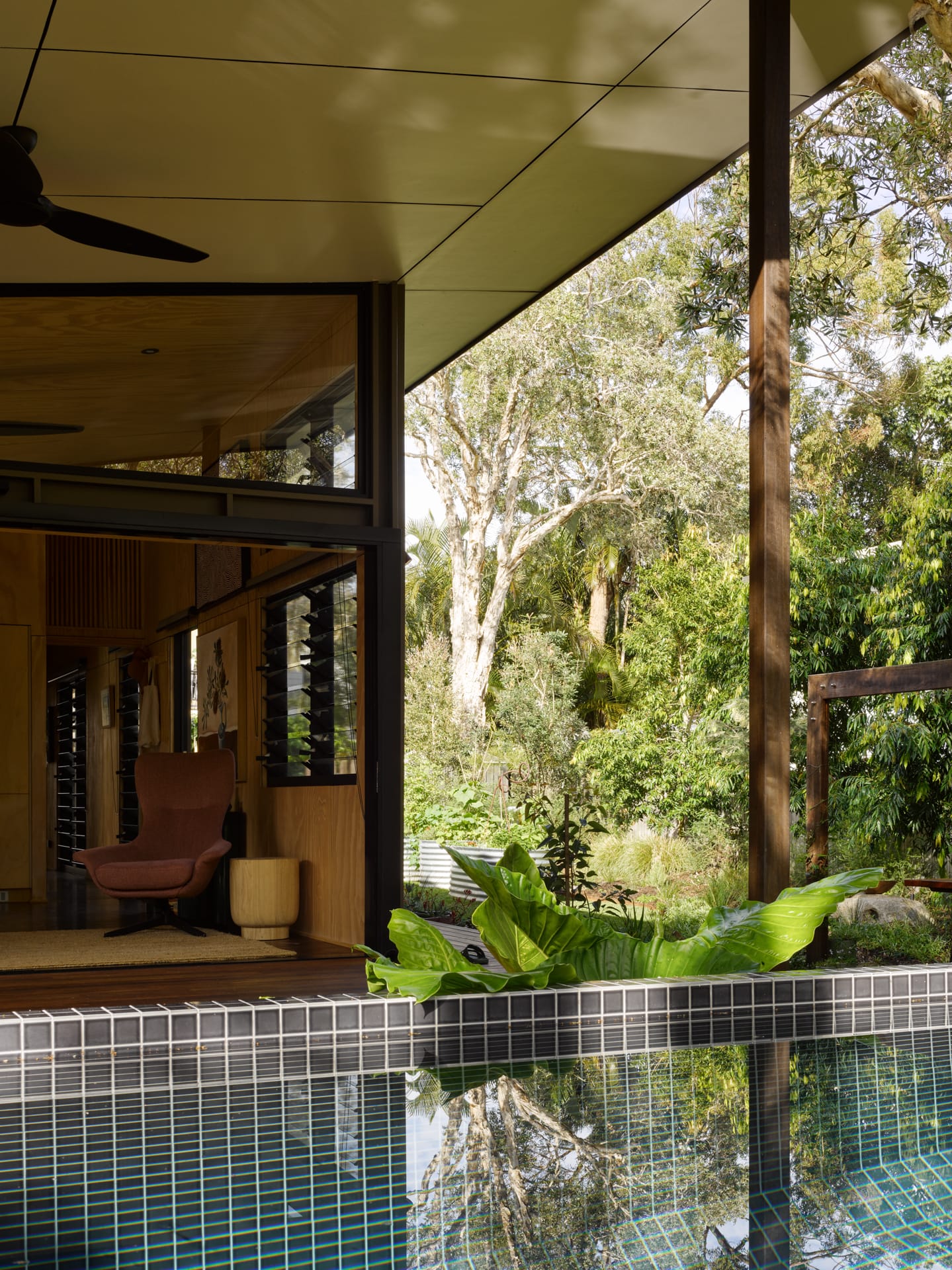 PaperBark Pod by Bark Design. Photography by Christopher Frederick Jones. Rear facade of home from side angle. Timber deck and stairs lead to open plan living area. Foliage grows wildly to right of image. 