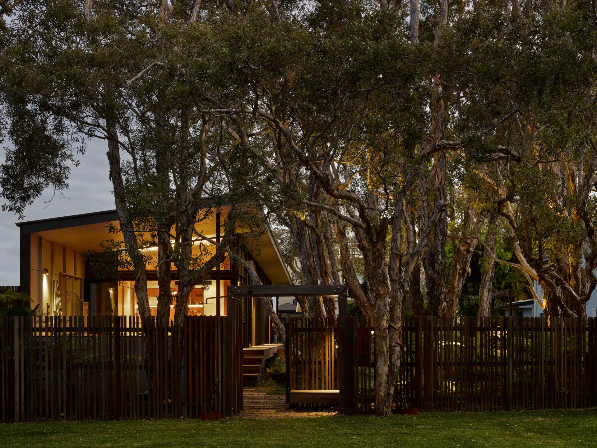 PaperBark Pod by Bark Design. Photography by Christopher Frederick Jones. Streetview of home with slanted roofline and many paperbark trees. Rustic timber fence. Warm light coming from interior. 