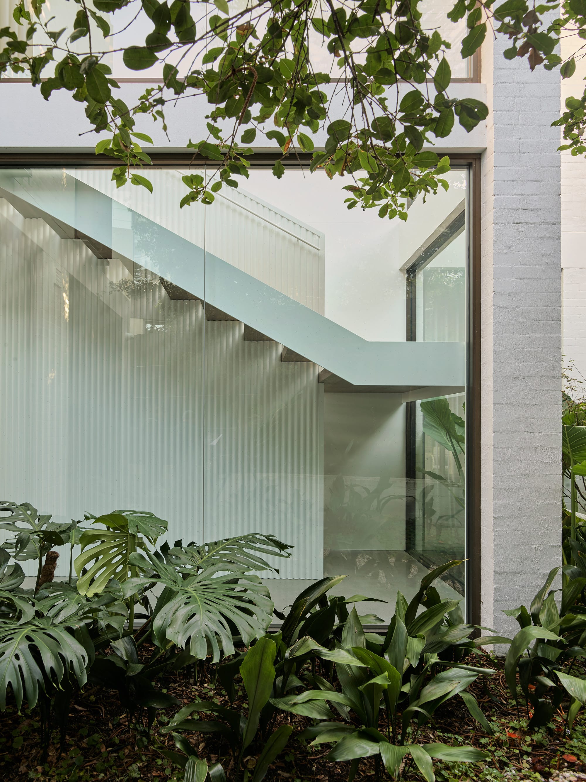 Warren House by CM Studio. Photography by Nic Gossage. Garden bed with double storey window in background. Staircase visible through window.