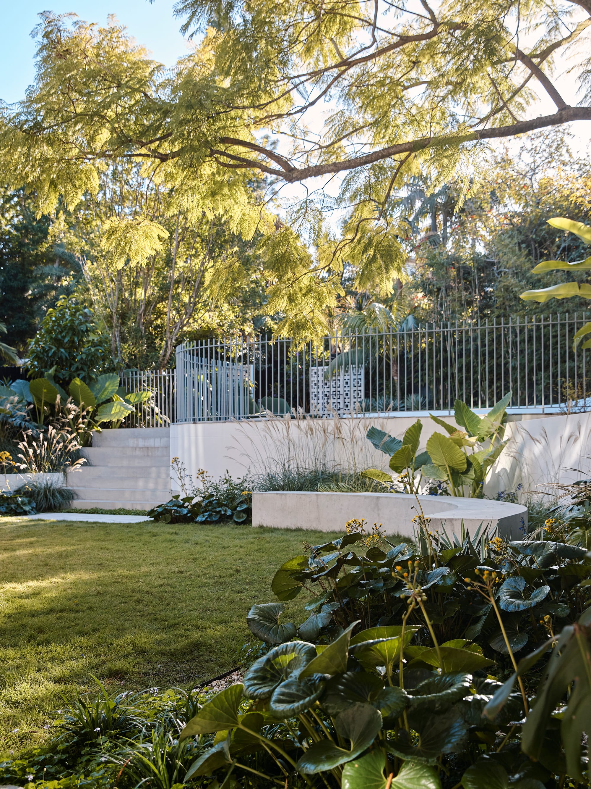 Warren House by CM Studio. Photography by Nic Gossage. Multilevel backyard with white steps and retaining wall. Green grass and lush garden bed around retaining walls. 