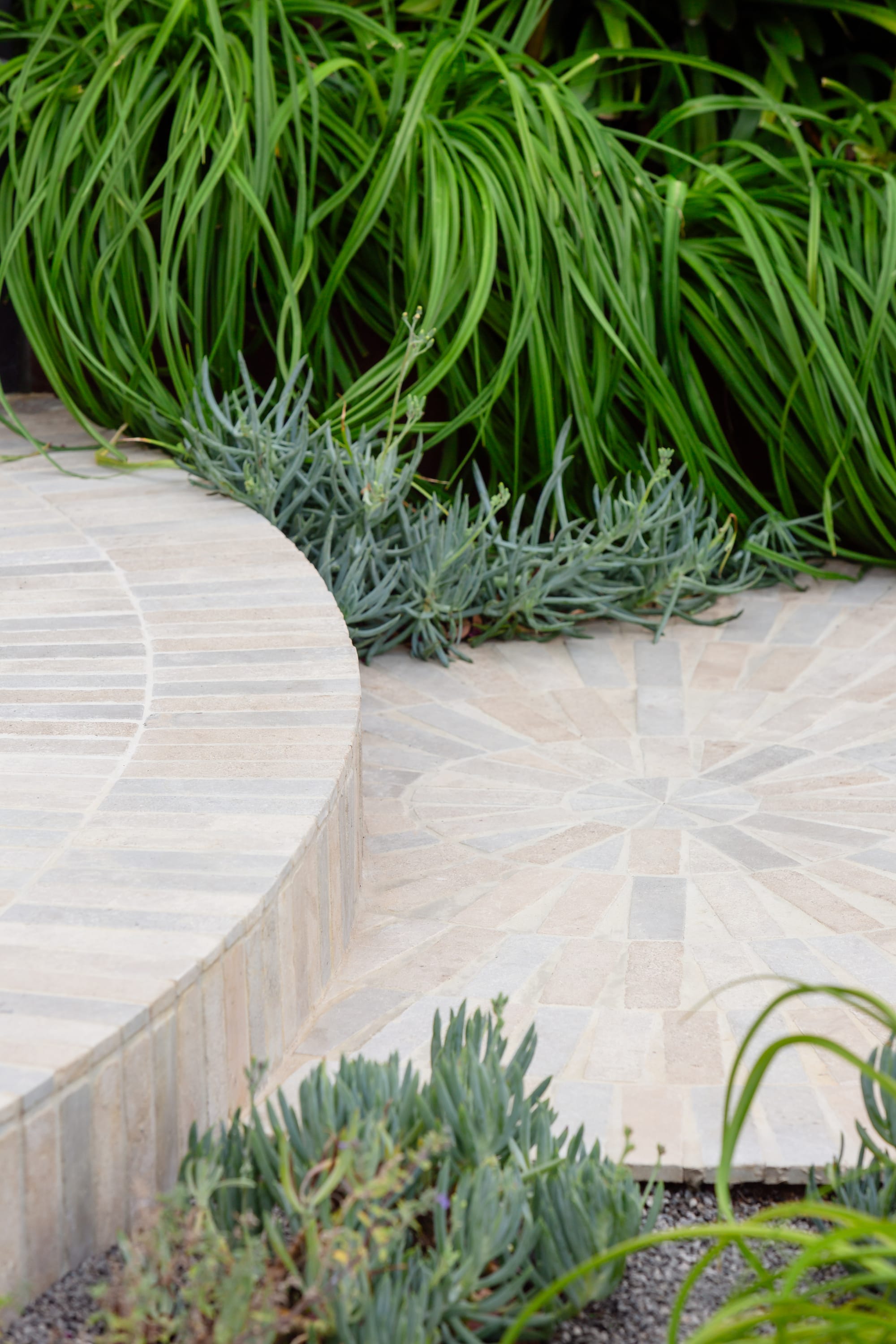  Iris Glen Iris by Julie Crowe Landscape Design. Photography by Erik Holt Photography. Close up of circular paved footpath in garden. Paved circle surrounded by green shrubs and native plants. 