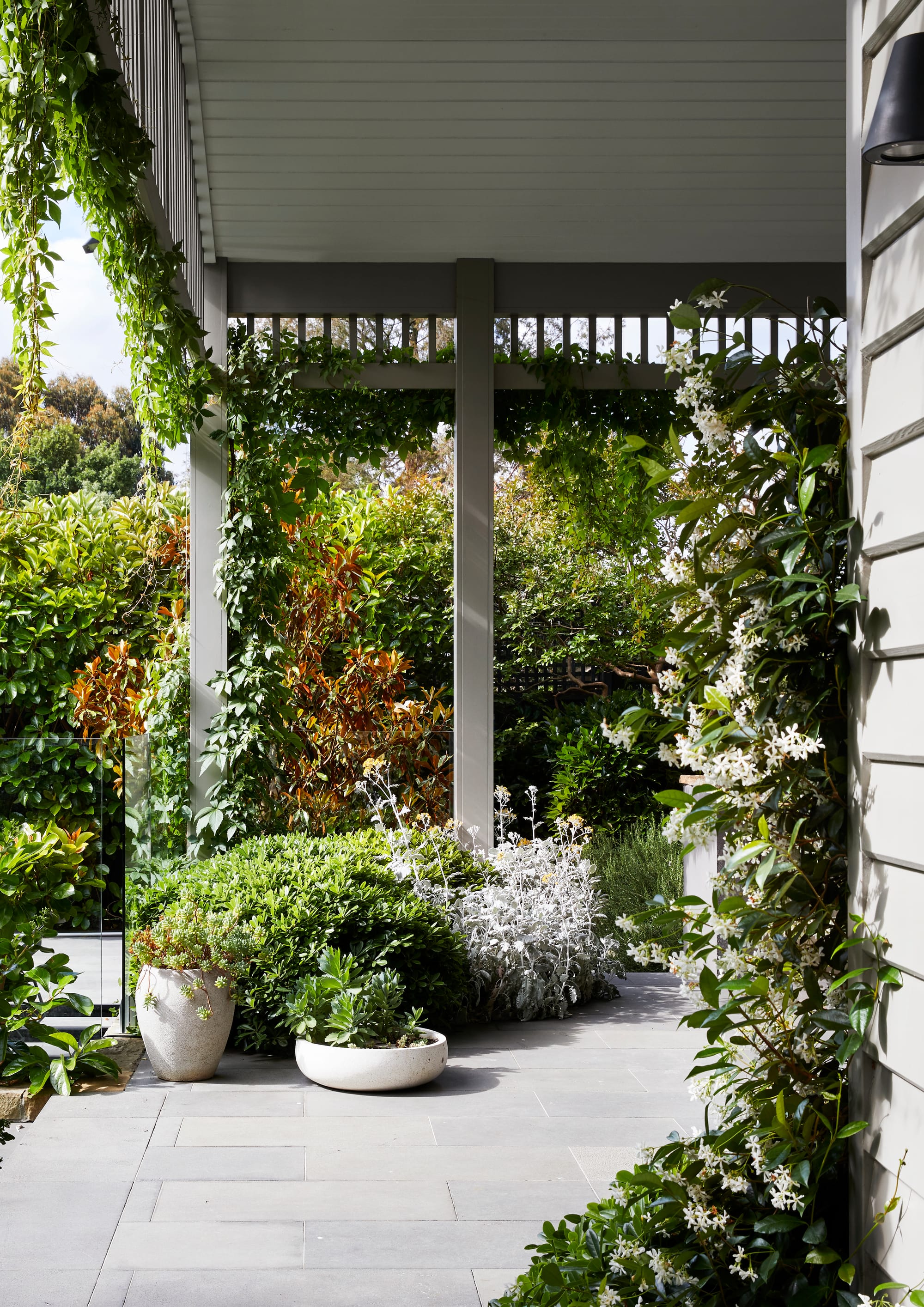 Julie Crowe Landscape Design. Photography by Caitlin Mills Photography. Crawling plant with white flowers growing over the external facade of white clad home along verandah. 