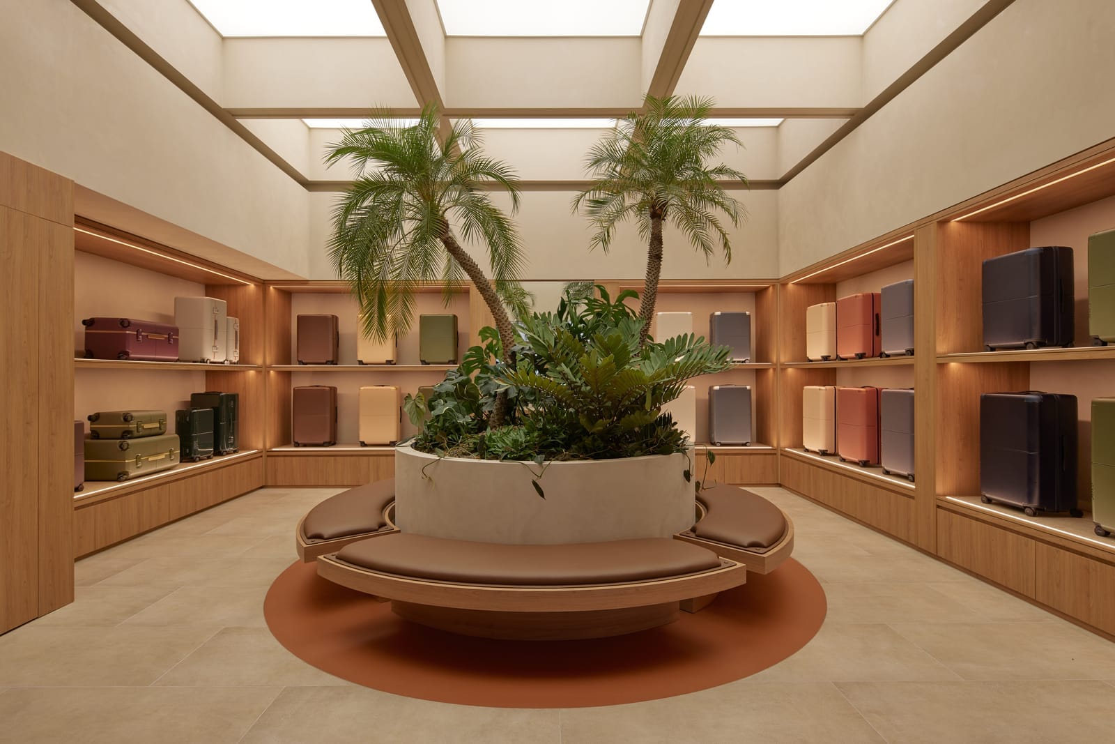 July Store by Acre. Photography by Cieran Murphy. Large circular planter in centre of grey tiled floor. Leather bench seating around planter. Timber shelving on walls. 