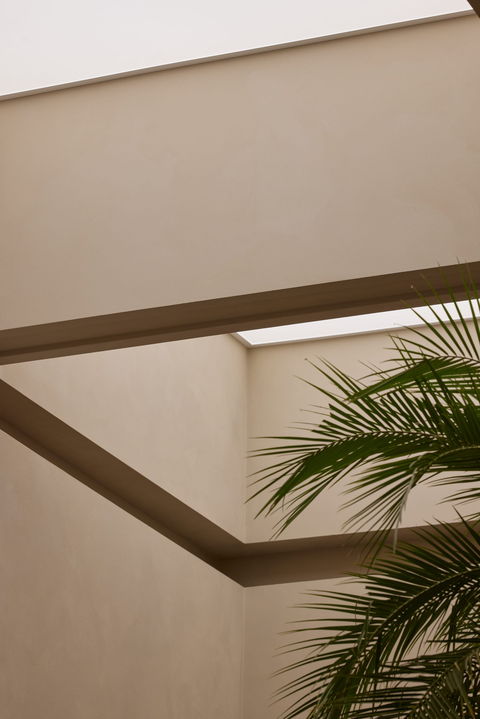Detail shot of the skylight above the planter and showing a glimpse of the landscape