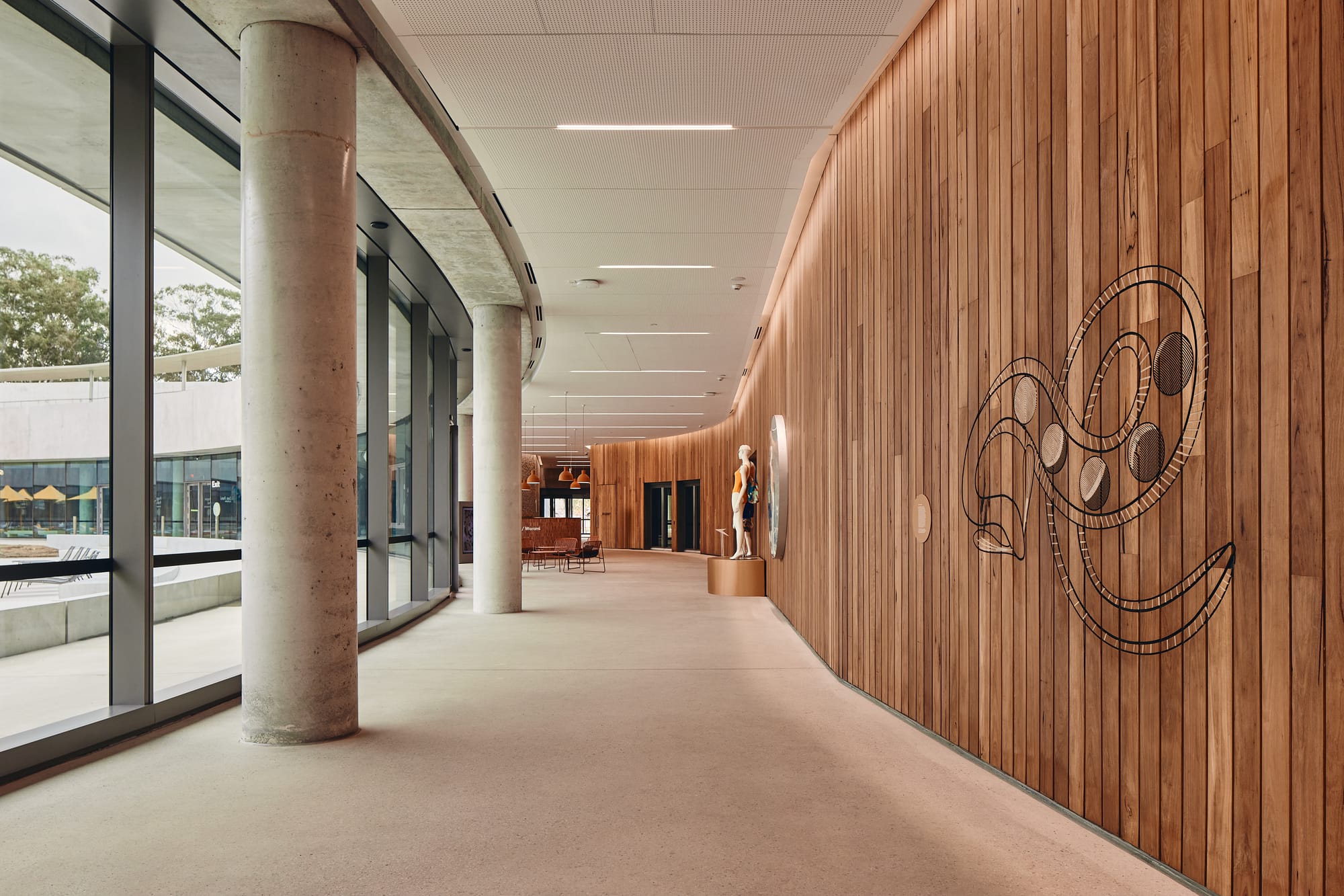 Parramatta Aquatic Centre by Mortlock Timbers. Photography by Peter Bennetts. Indoor walkway with timber clad walls on right and glass windows on right. Snake design on timber walls.