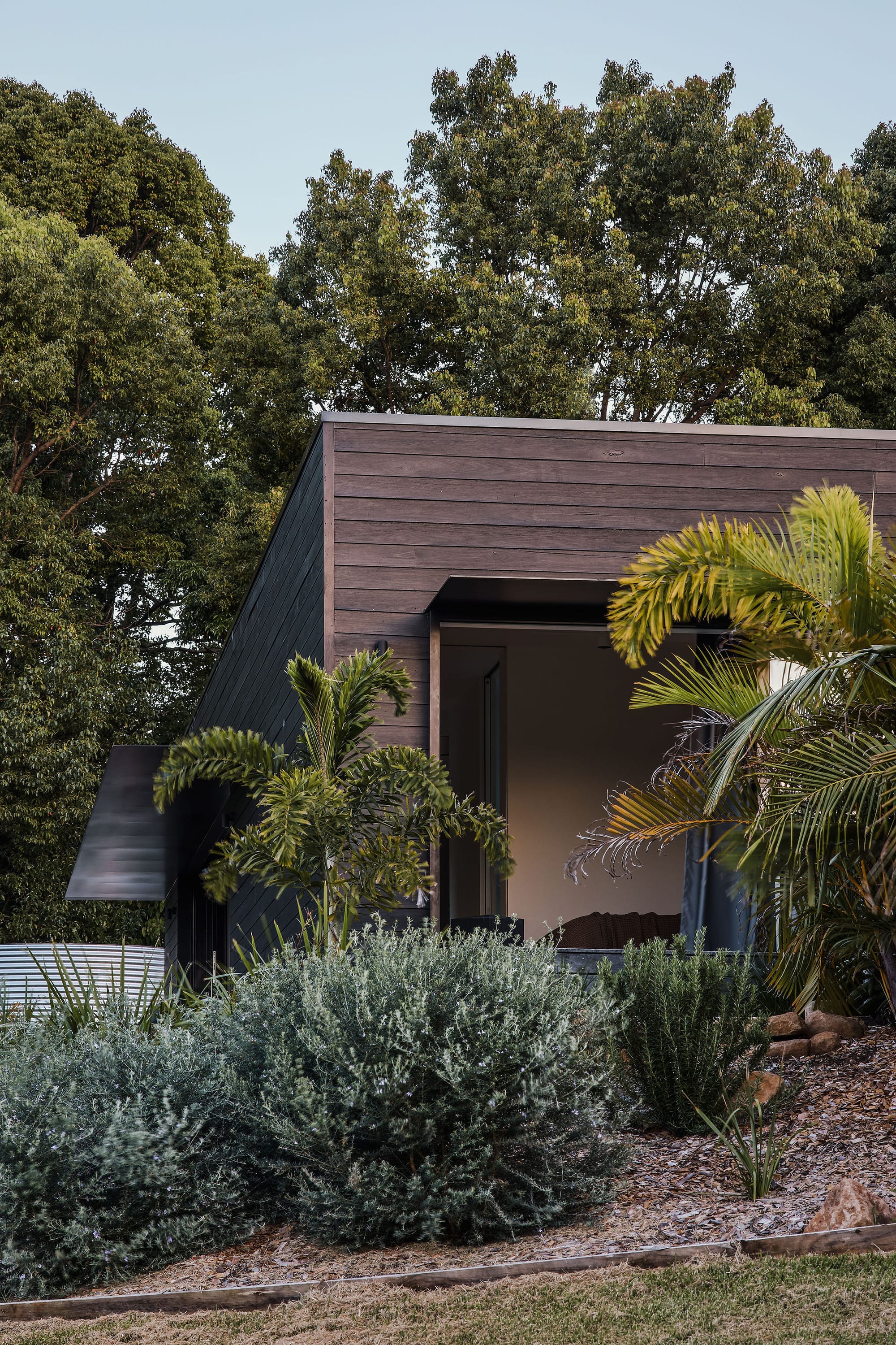 Rockpool Farm Byron Bay. Photography by Andy Macpherson. Timber clad square building with large window openings, hidden behind garden beg with tall trees and plants.