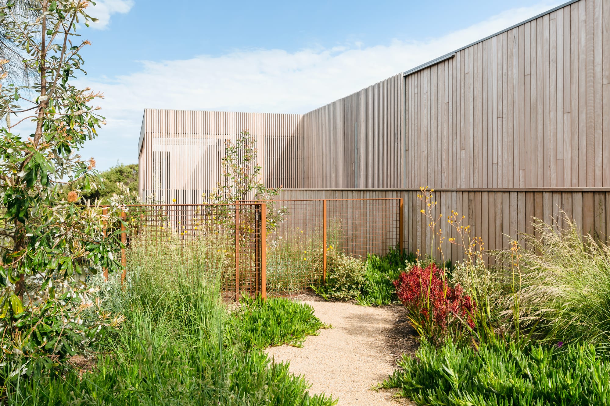 Ritchie Blairgowrie by Julie Crowe Landscape Design. Photography by Erik Holt Photography.  Double storey timber clad home in background. Crushed limestone path surrounded by native Australian garden in foreground. Rusted fence between home and garden. 